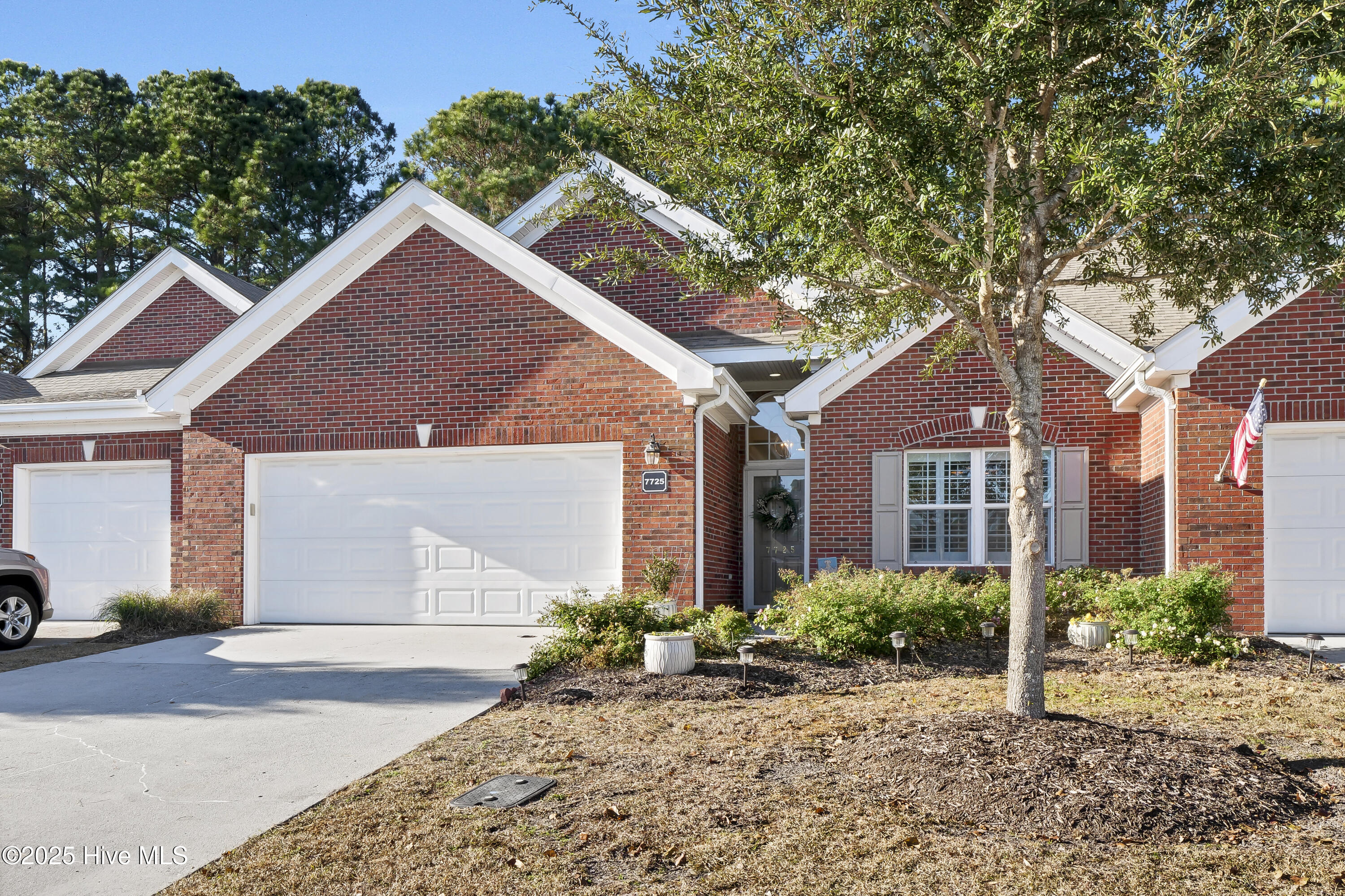 100545756 | Photo 32