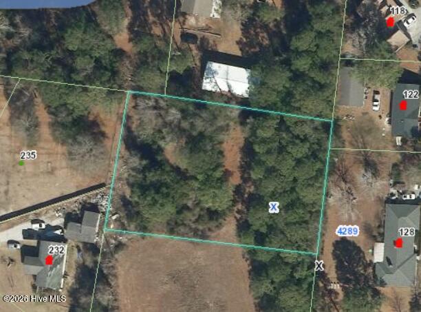 100559198 | Photo 12