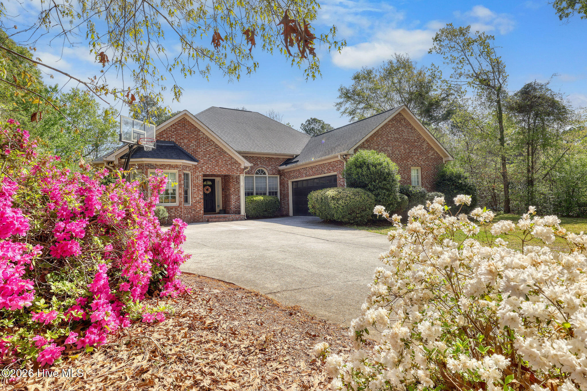 100565672 | Photo 58