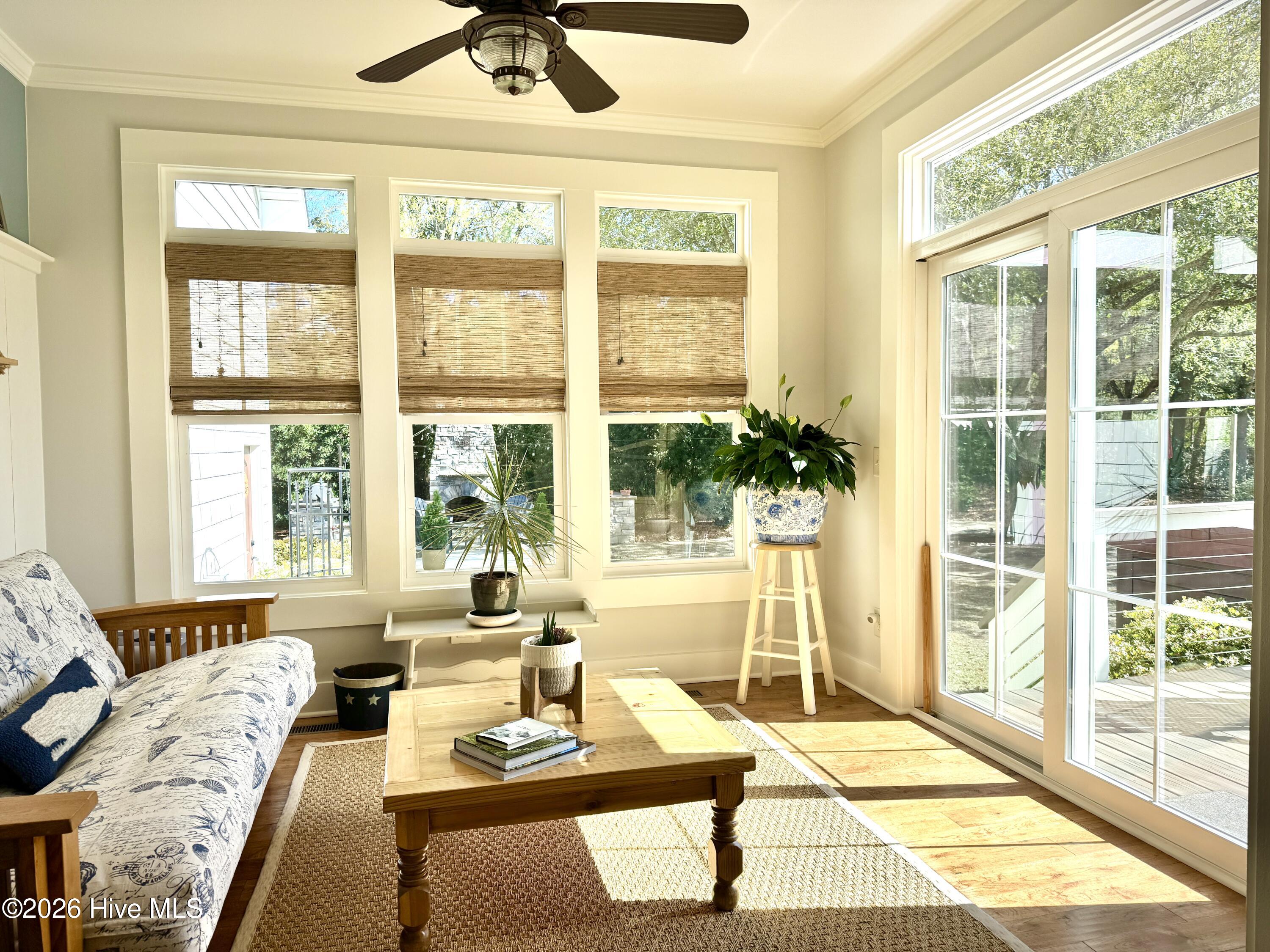 100565124 | Photo 25