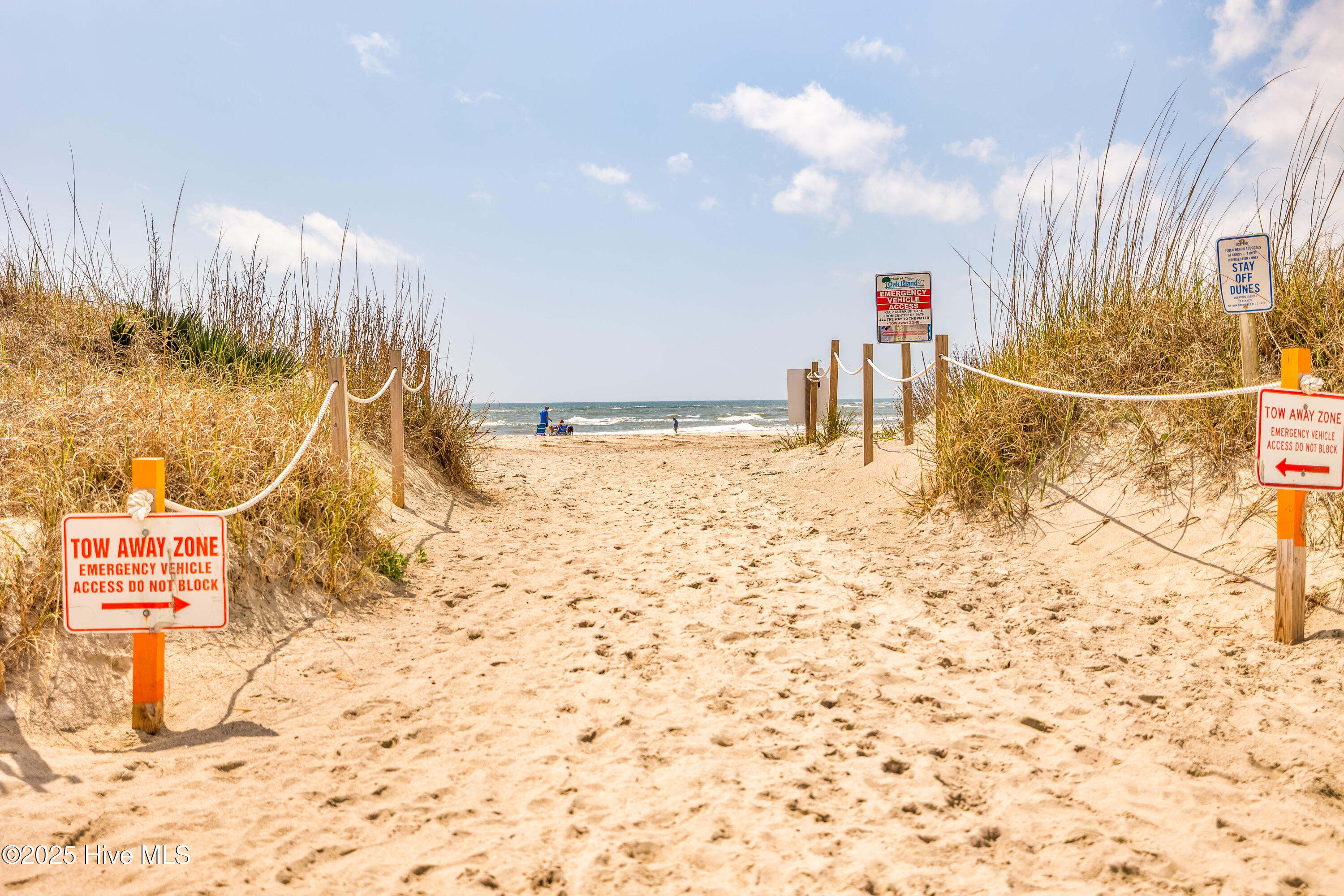 100500565 | Photo 73