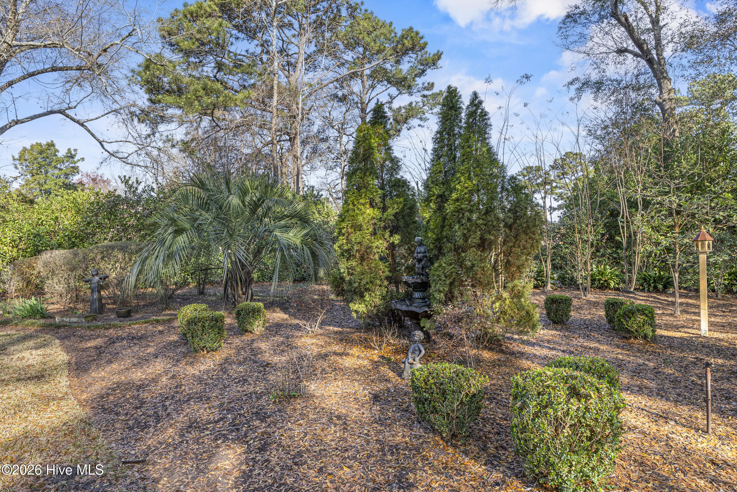 100560704 | Photo 67