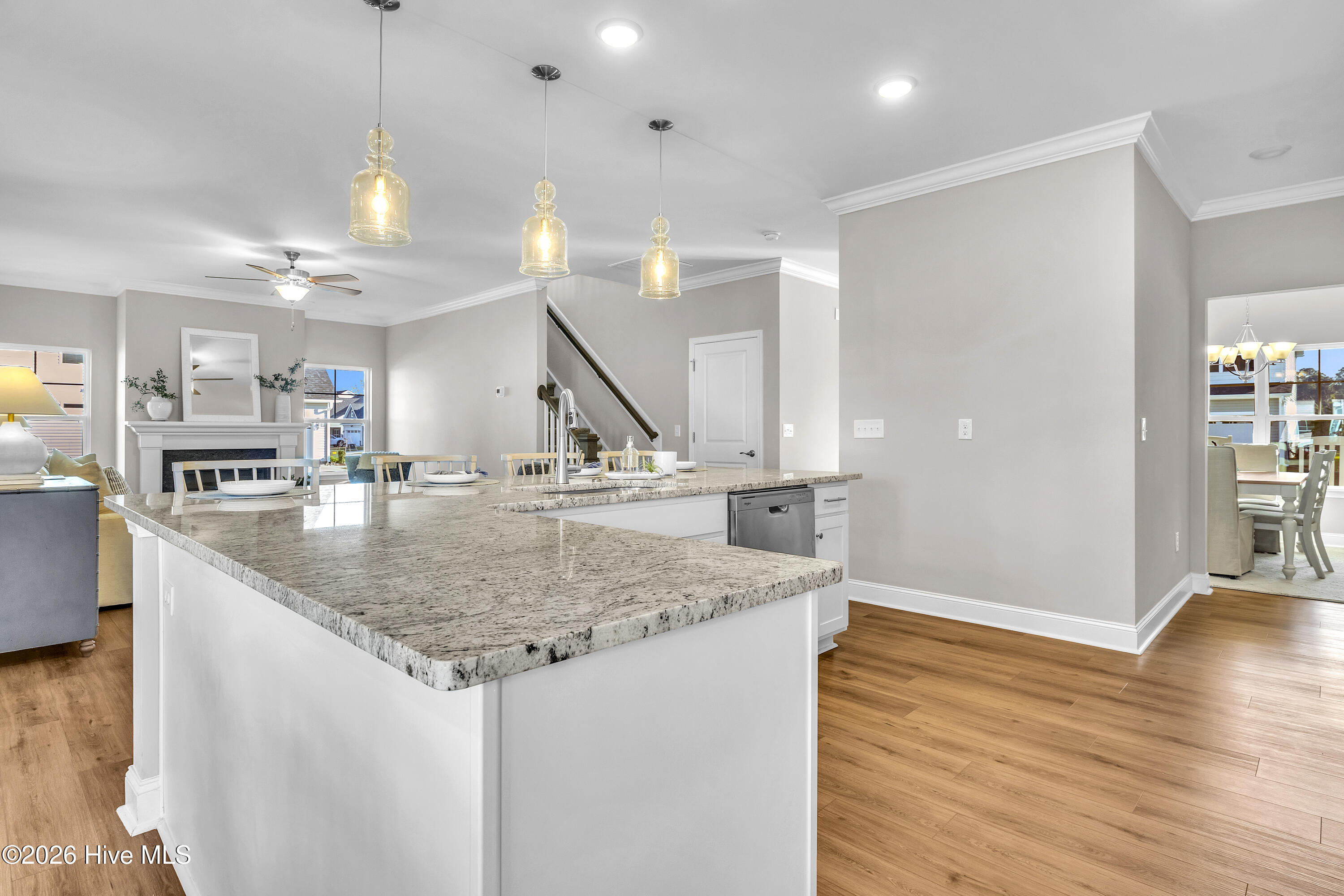 100561005 | Photo 23