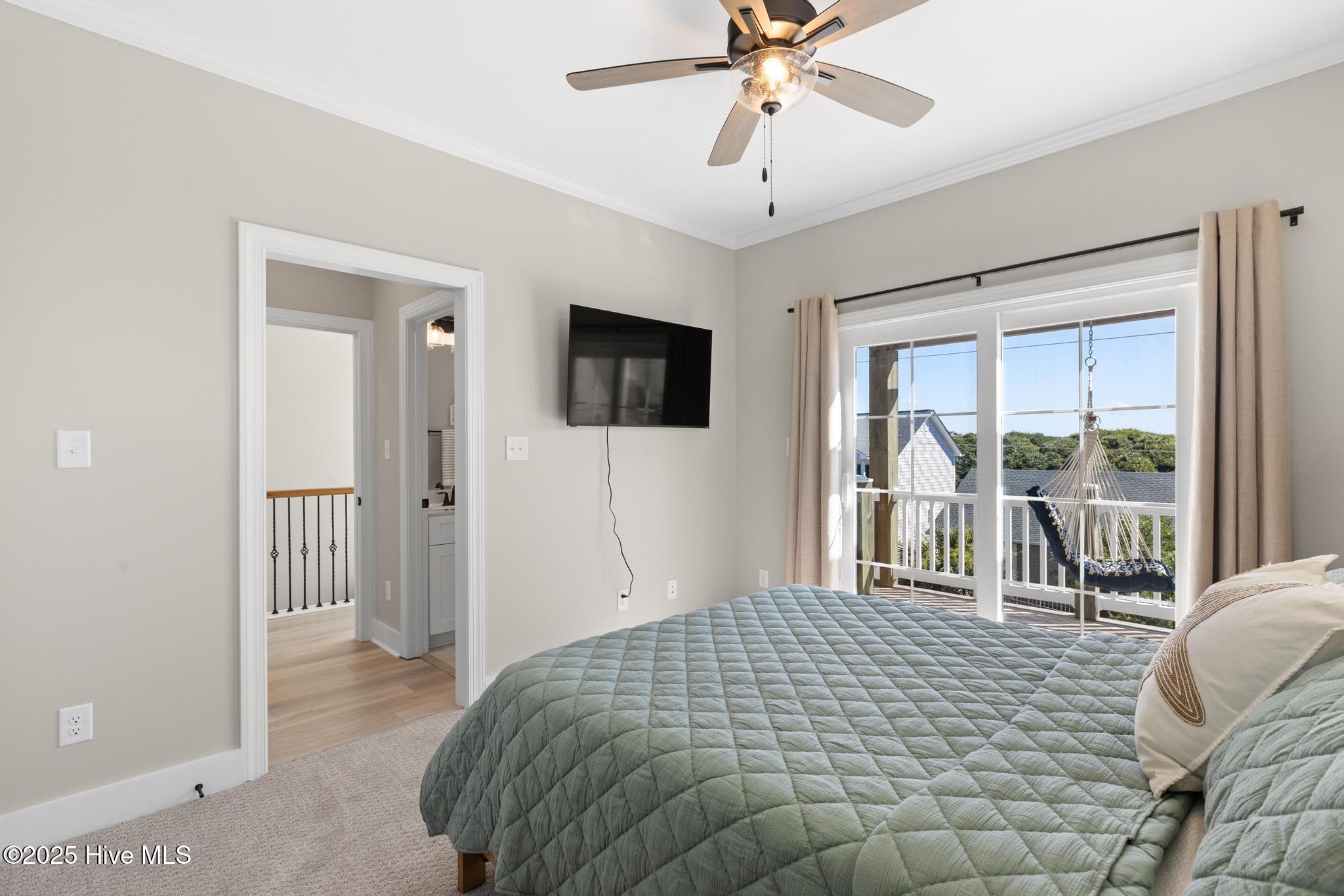 100498543 | Photo 43