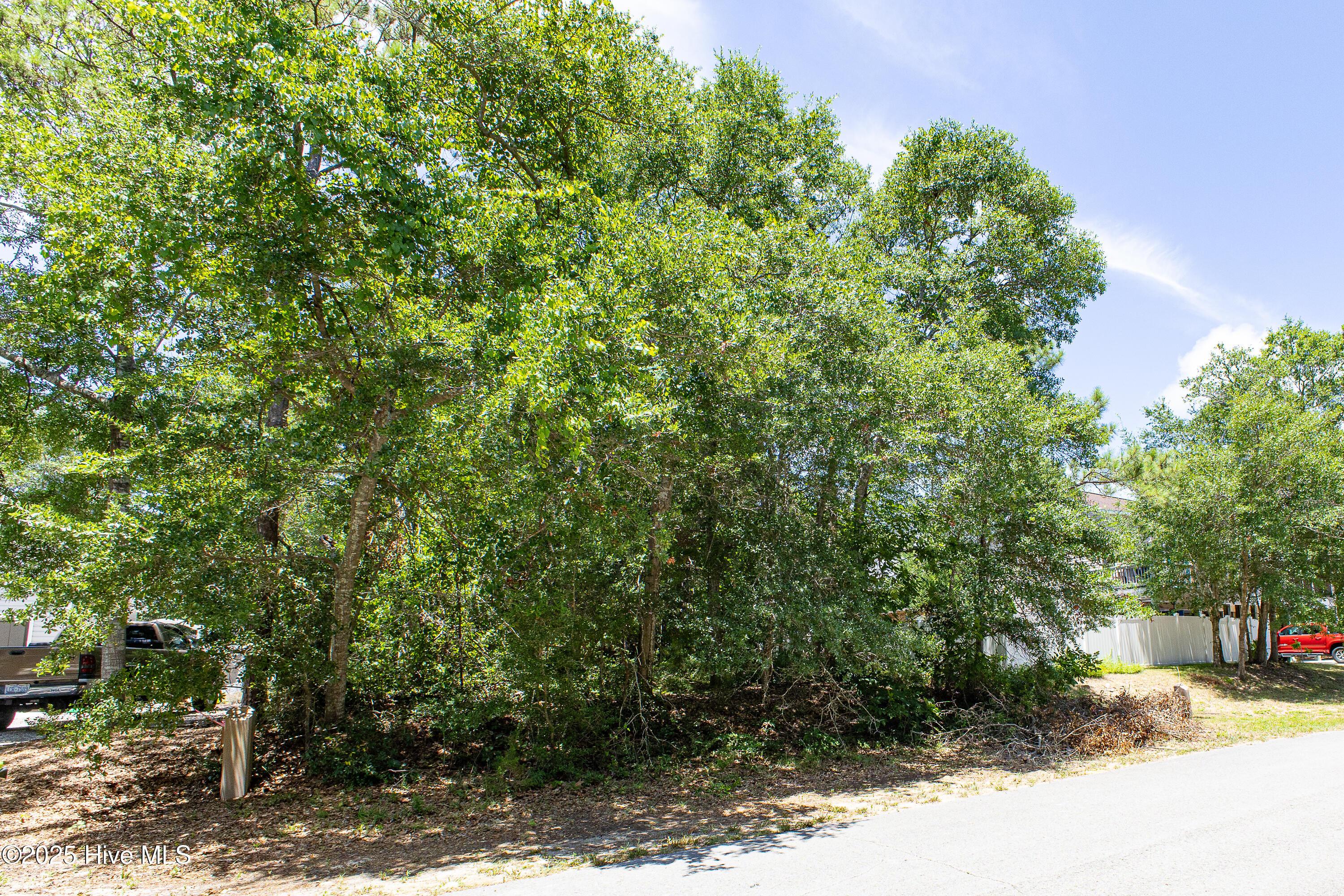 100519177 | Photo 15