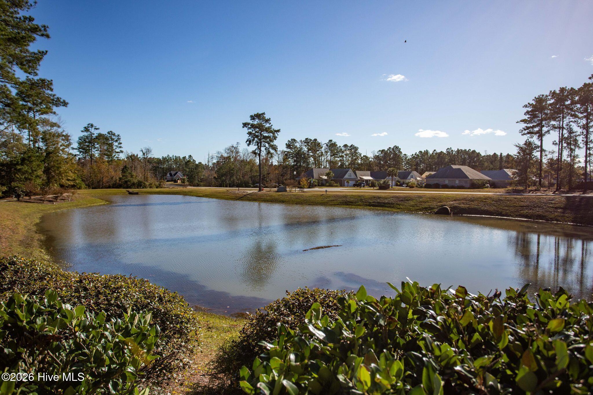 100562900 | Photo 53