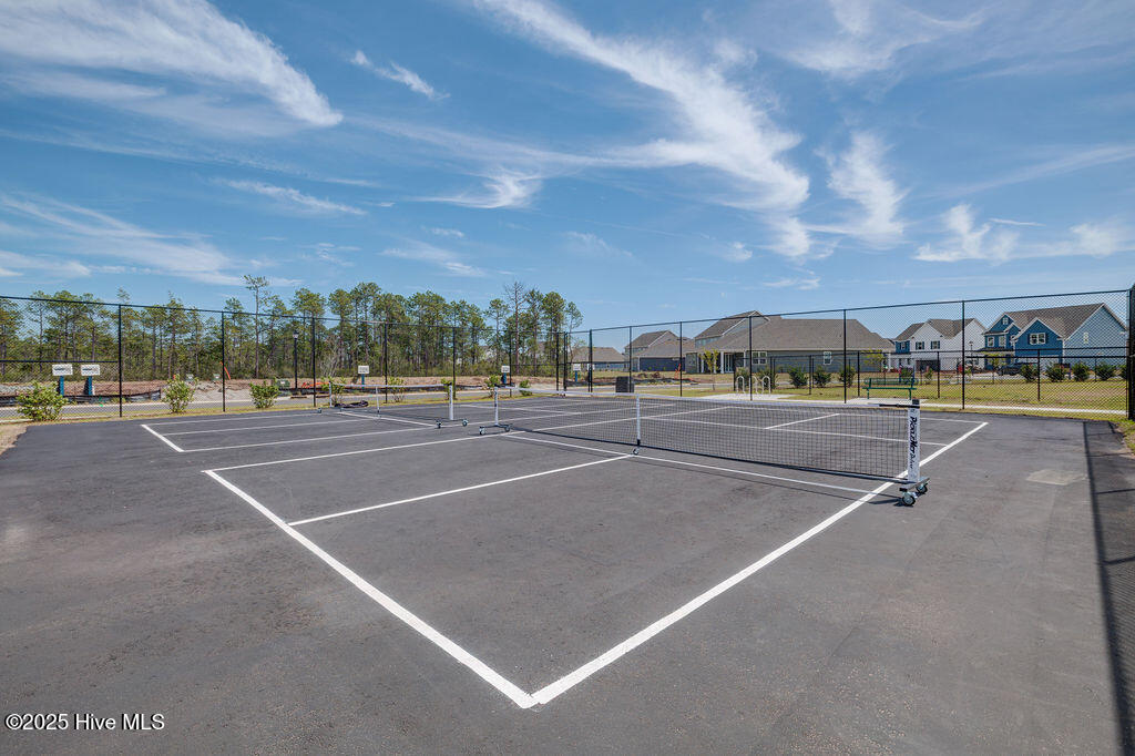 100539935 | Photo 44