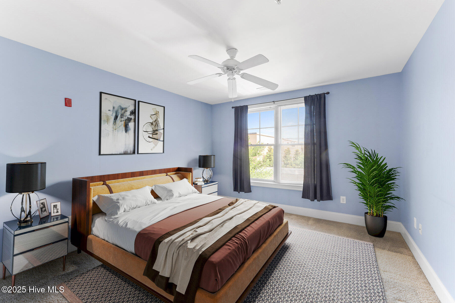 100518149 | Photo 14