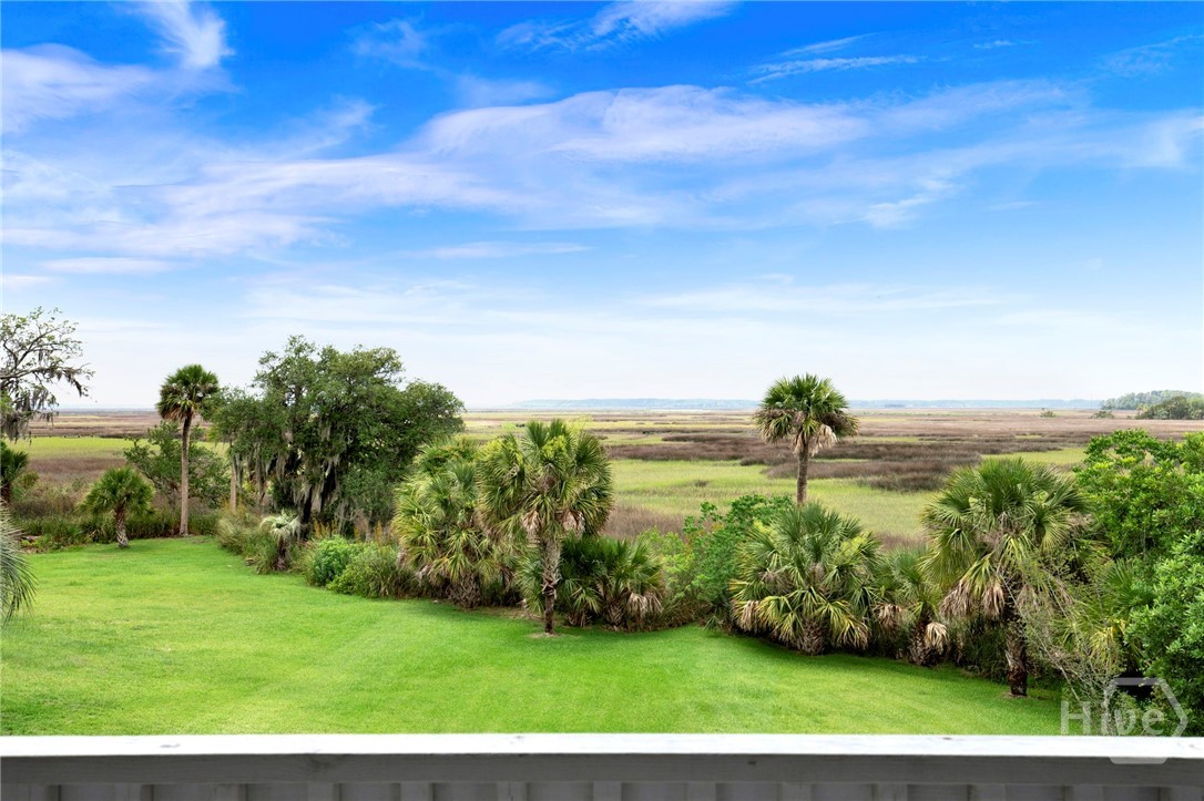 374 Coffee Bluff Villa Road, Savannah, GA 31419 Listing Photo  3