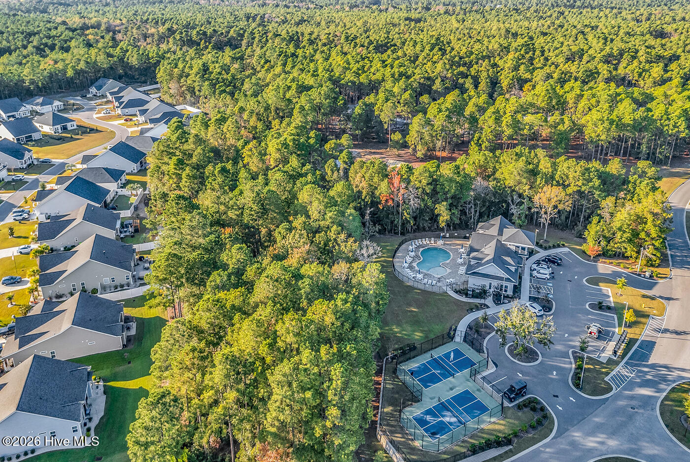 100560005 | Photo 55