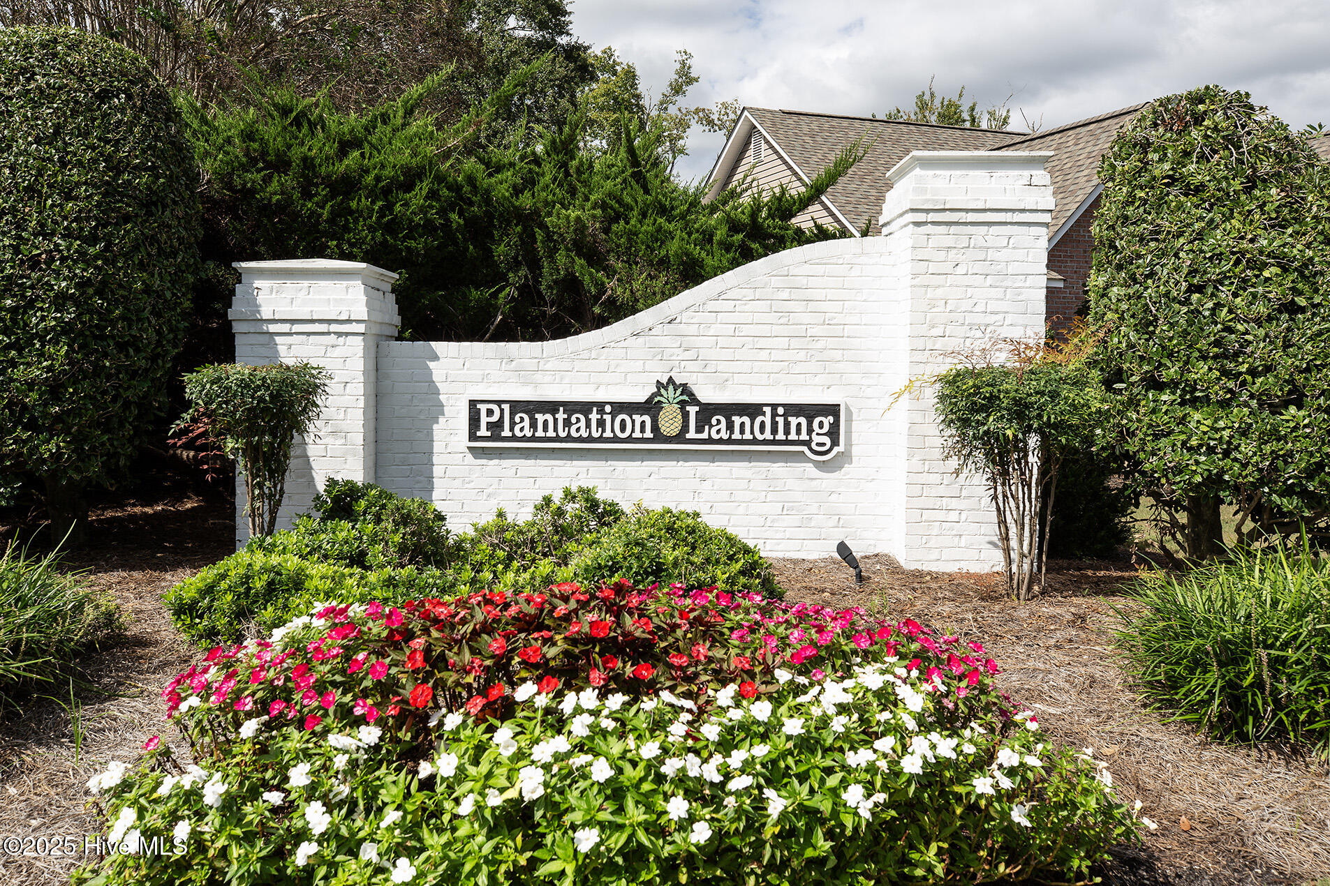 100525517 | Photo 58