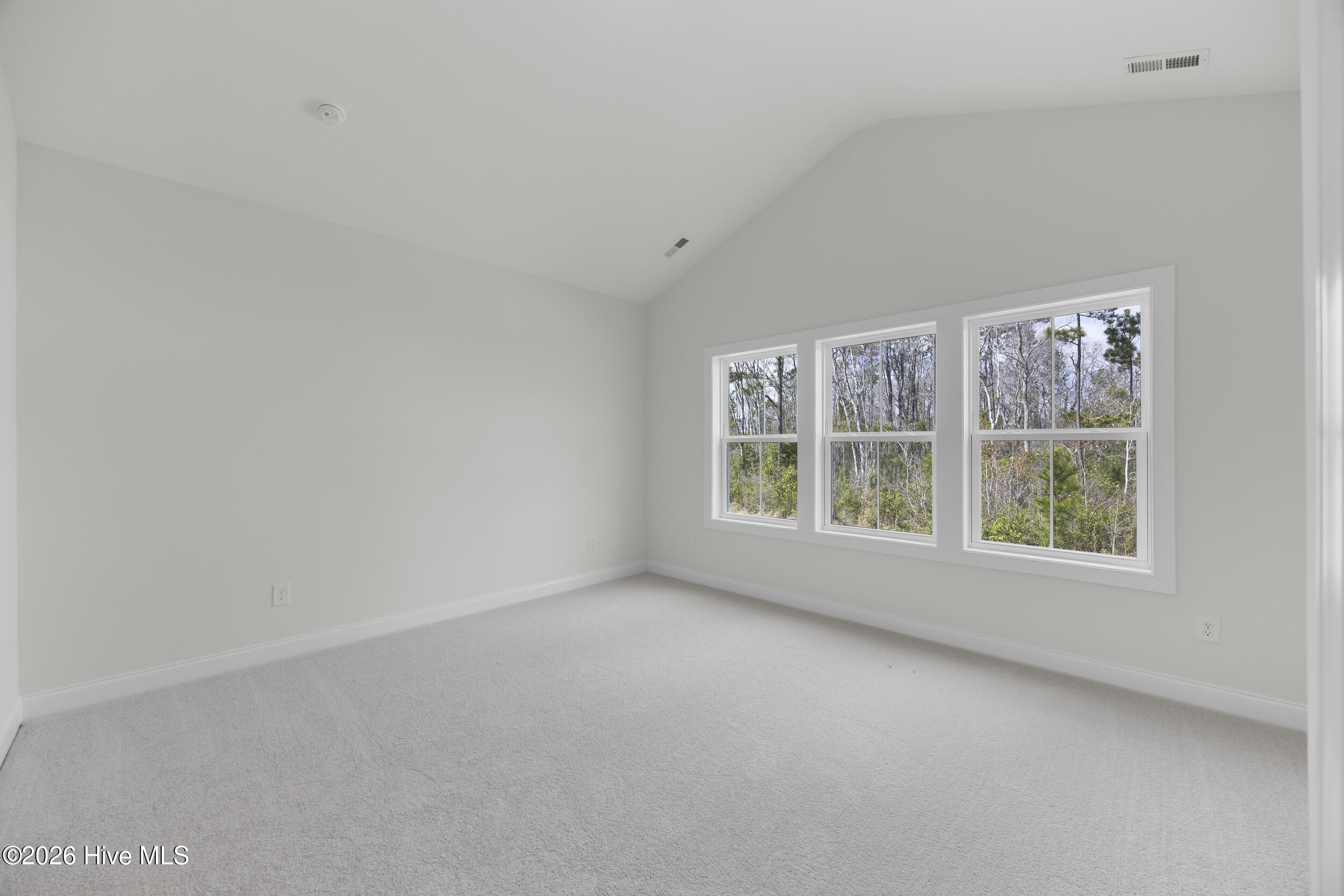 100561825 | Photo 20