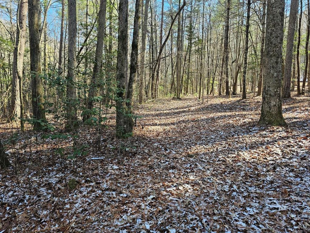 Listing Photo 98509485