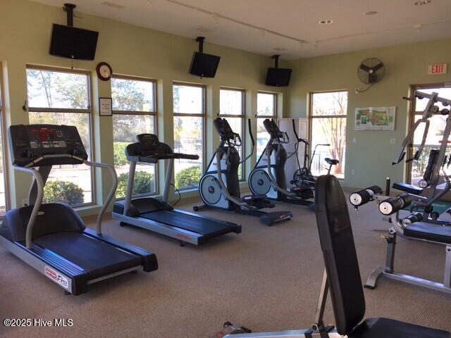 100524928 | Photo 55