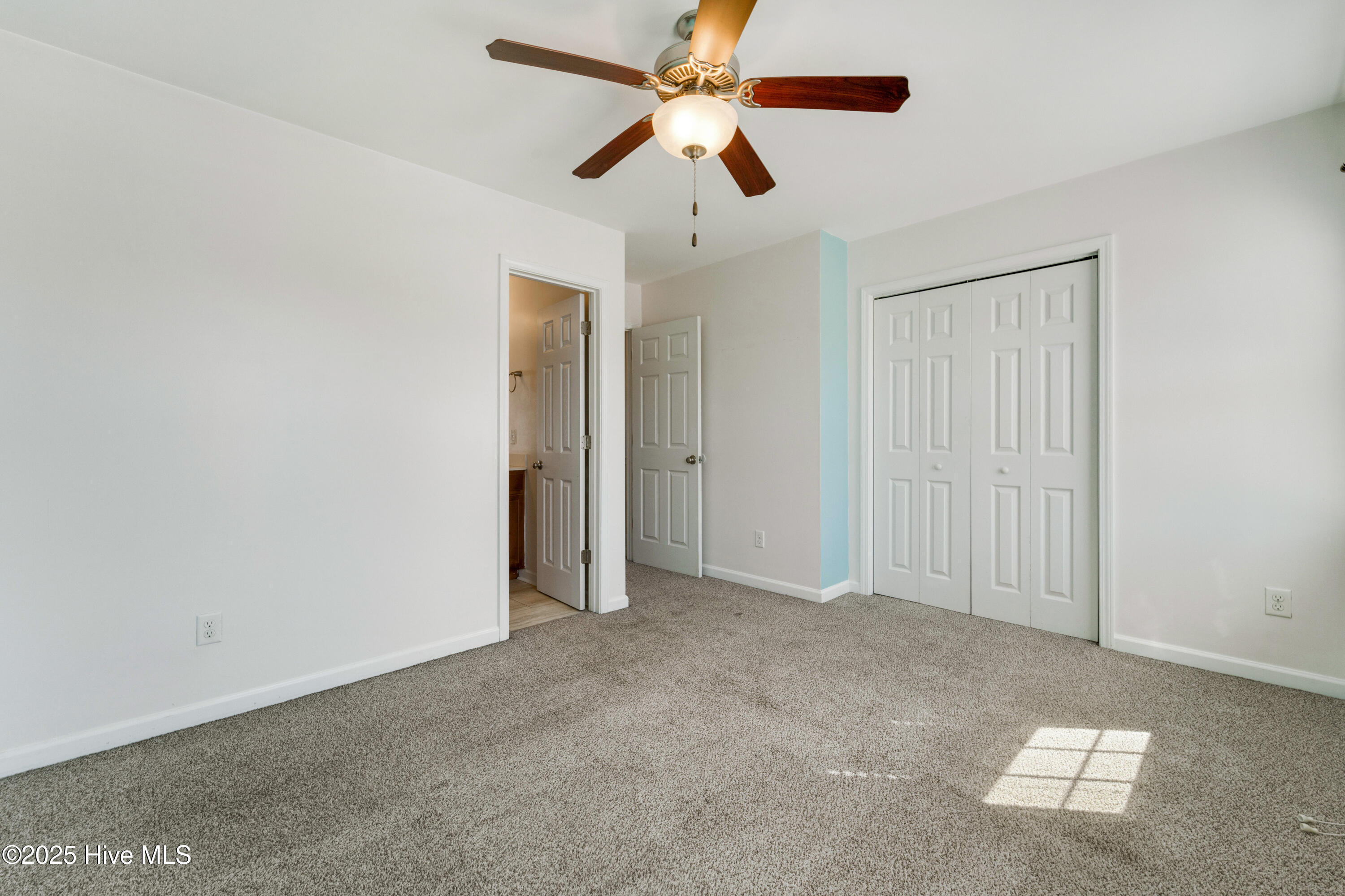 100559819 | Photo 11