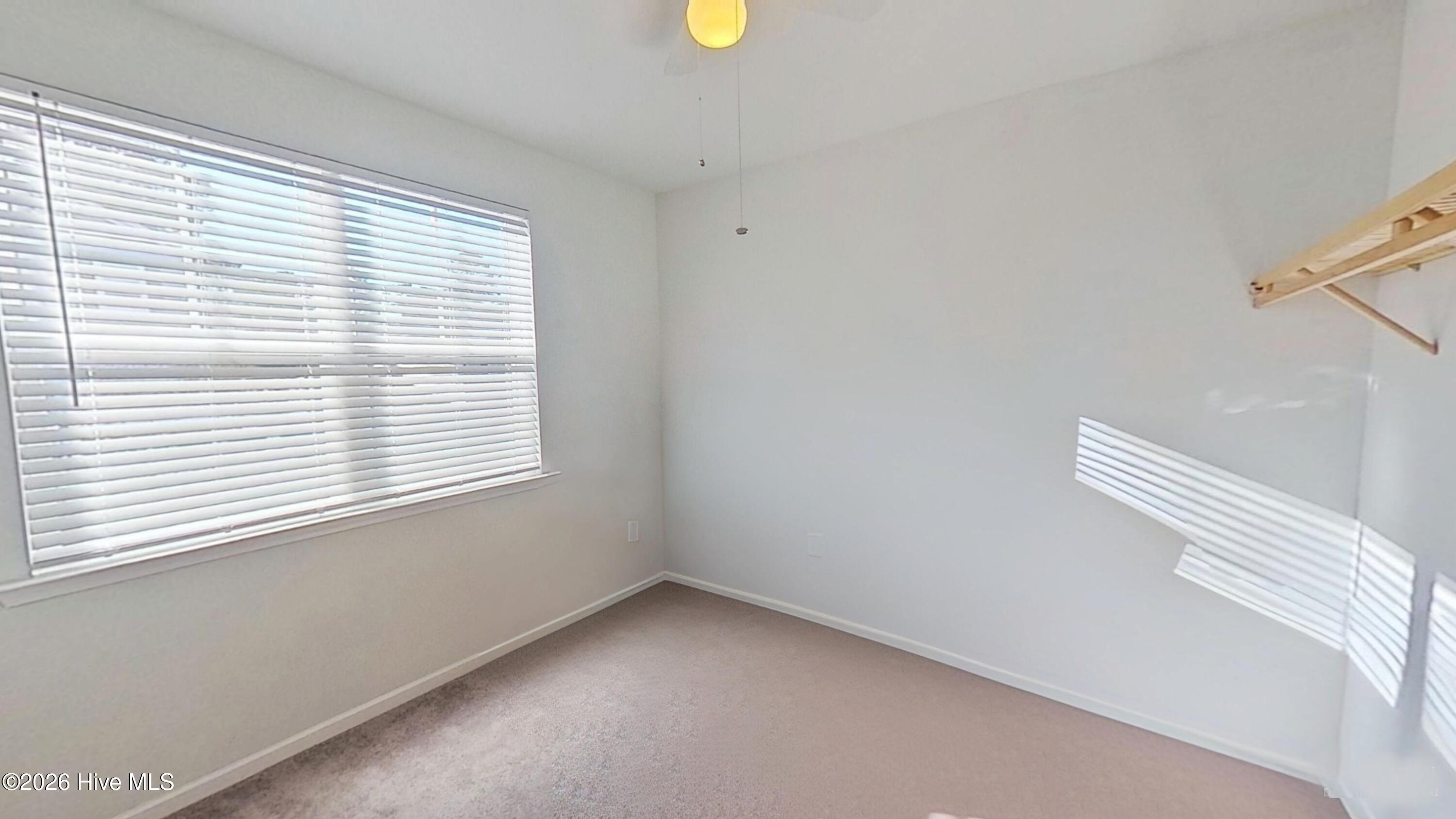 100551021 | Photo 13