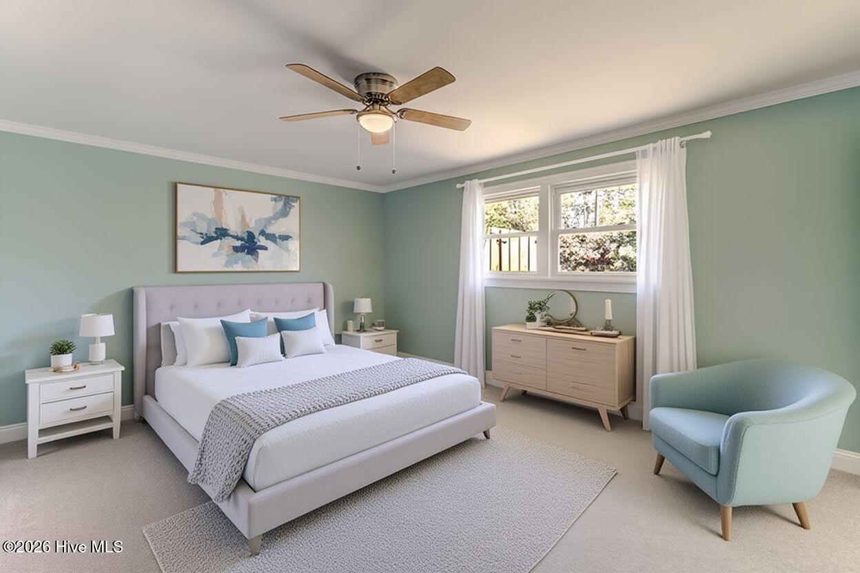 100558677 | Photo 31