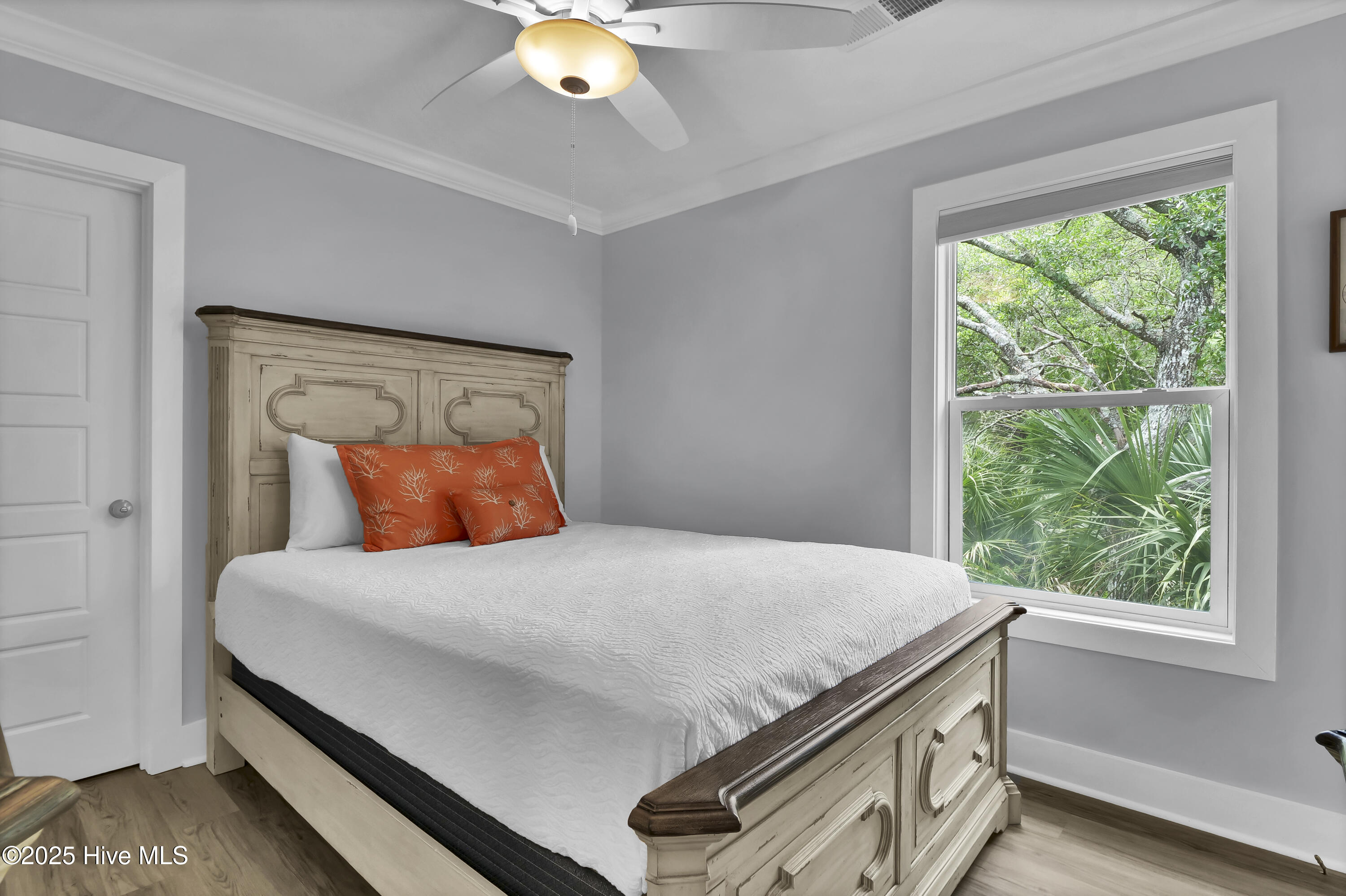 100542067 | Photo 29