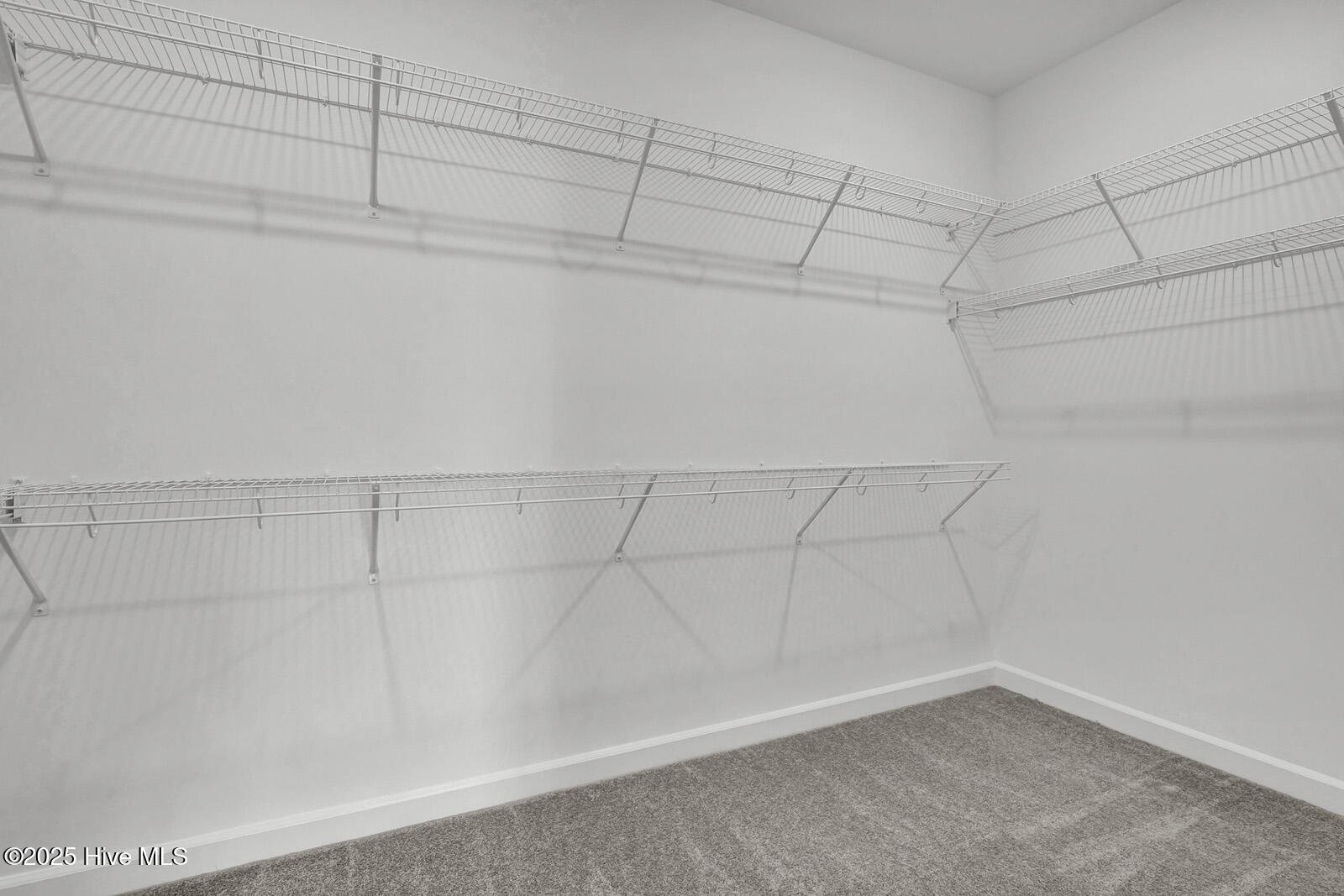 100527693 | Photo 20