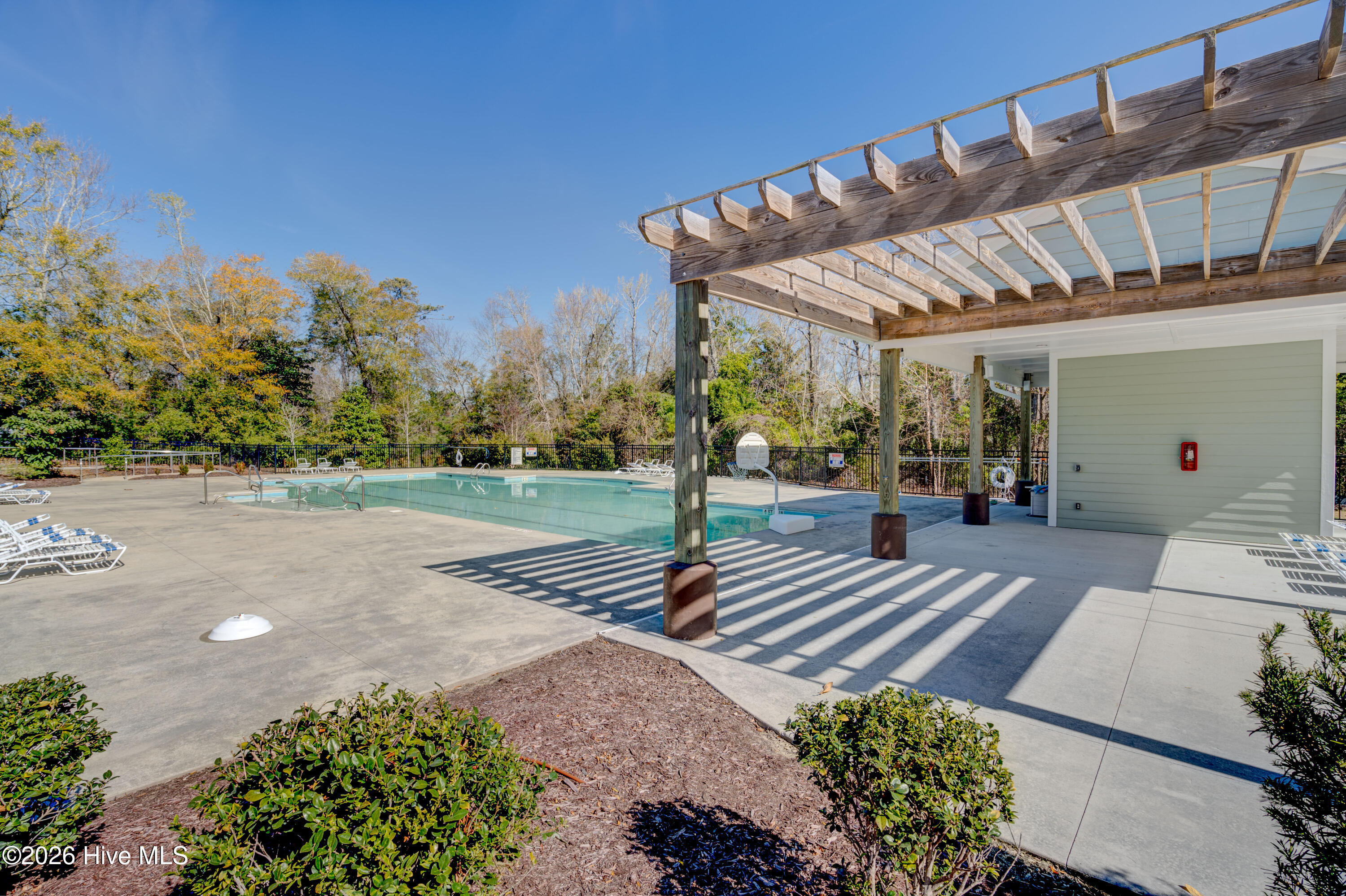 100558157 | Photo 66