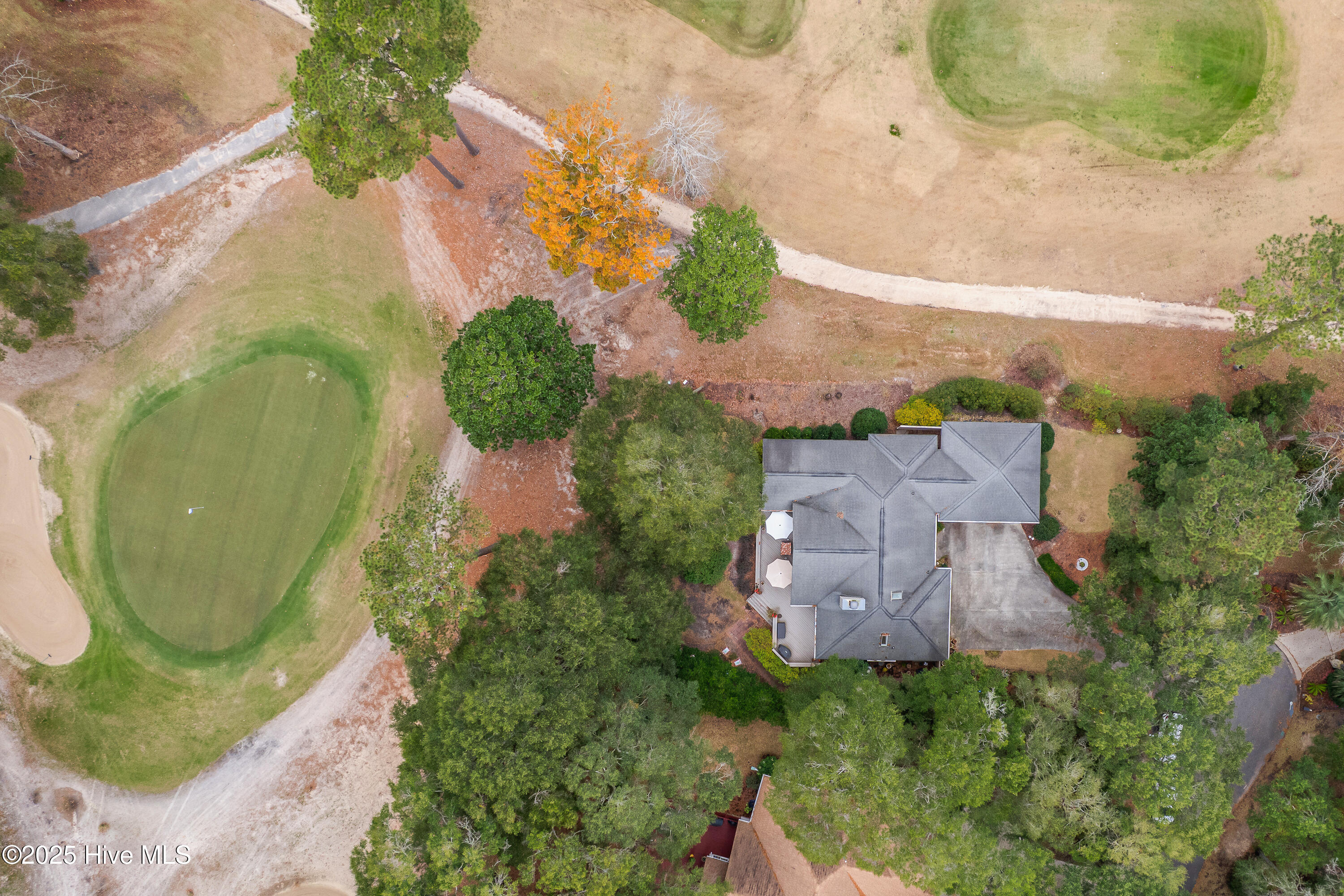 100545201 | Photo 39