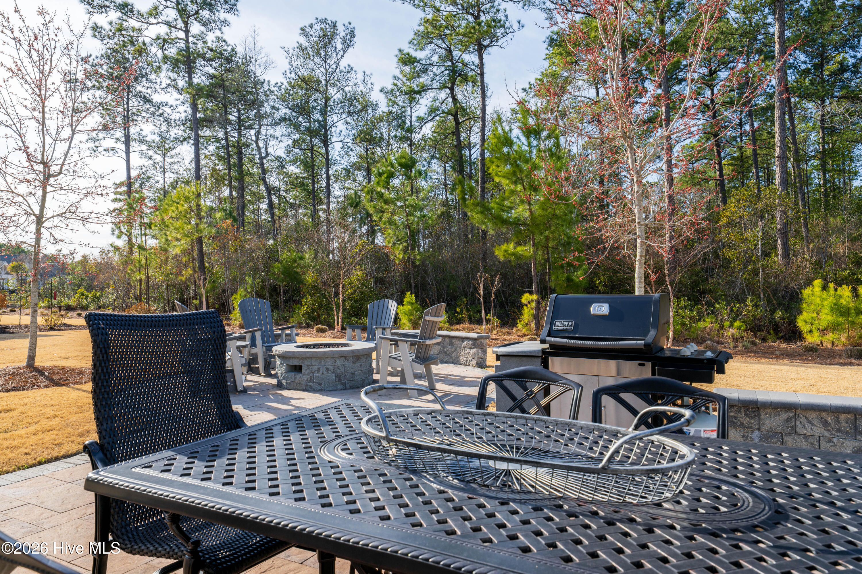 100553461 | Photo 45