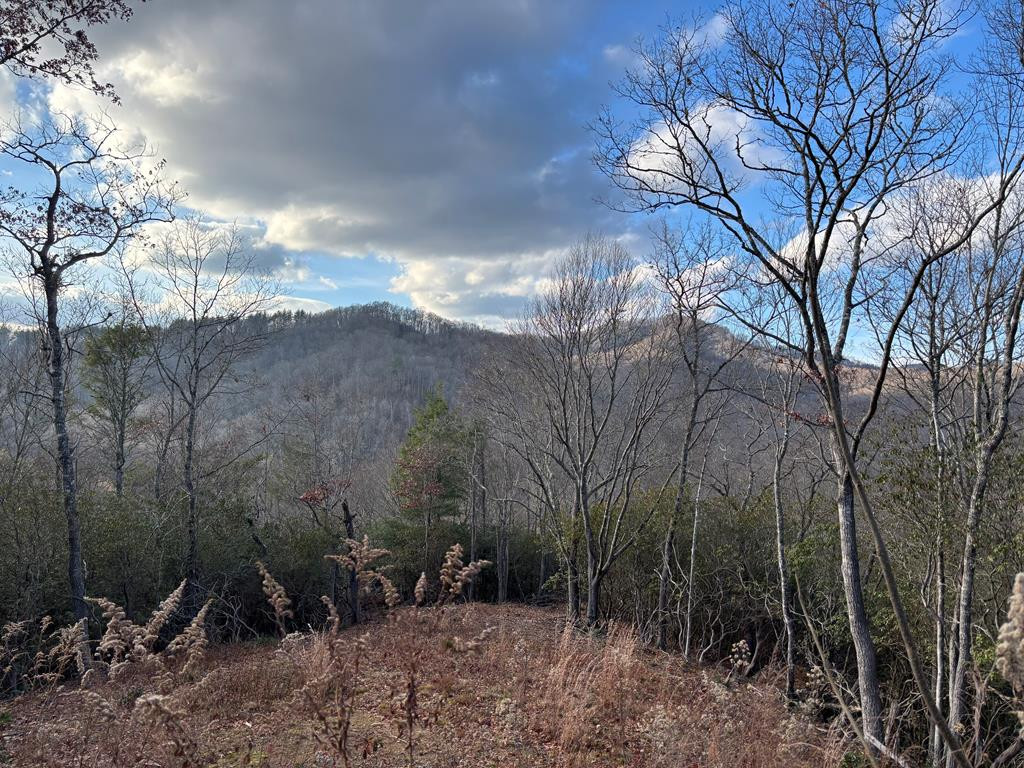 Listing Photo 98524278