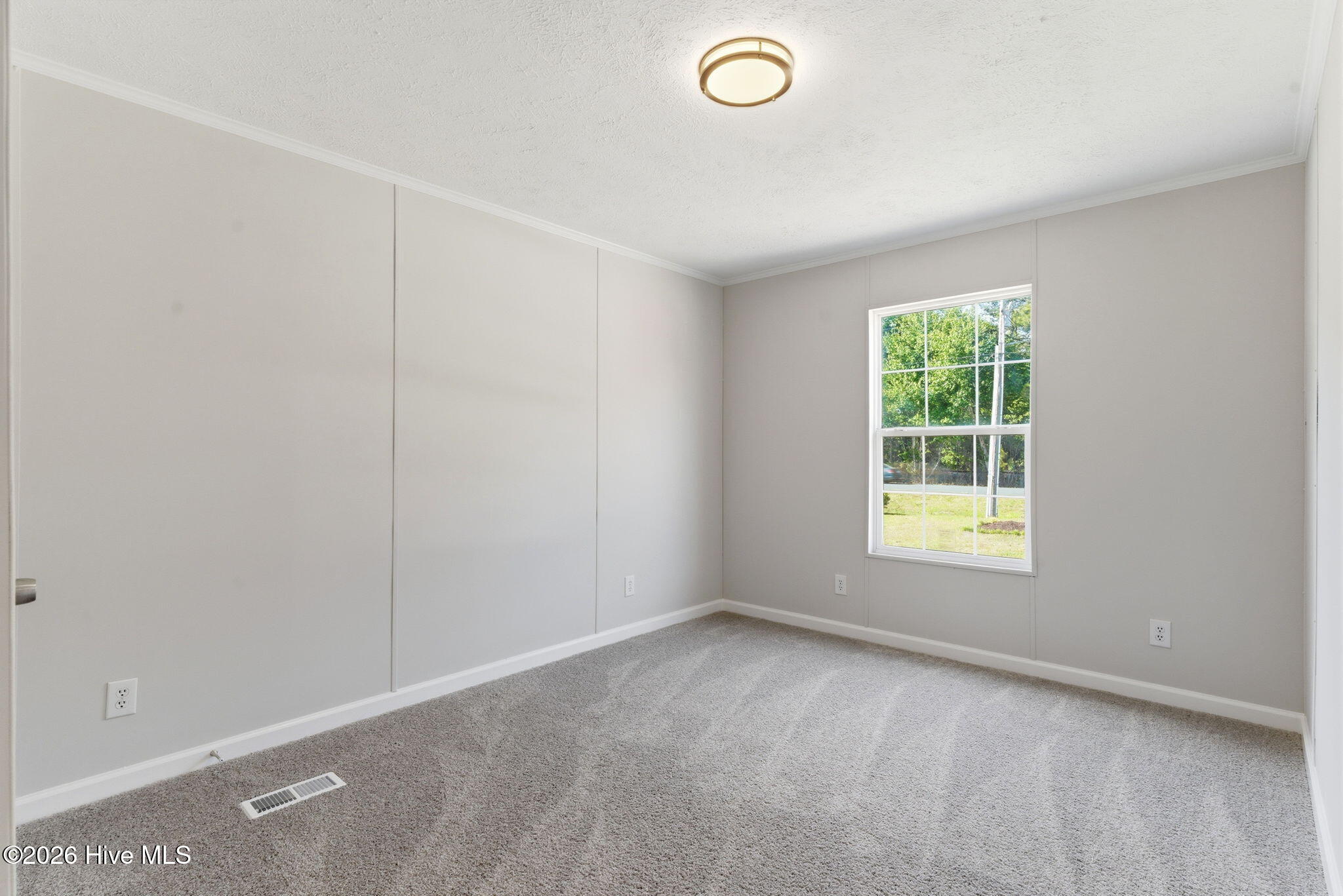 100569540 | Photo 23