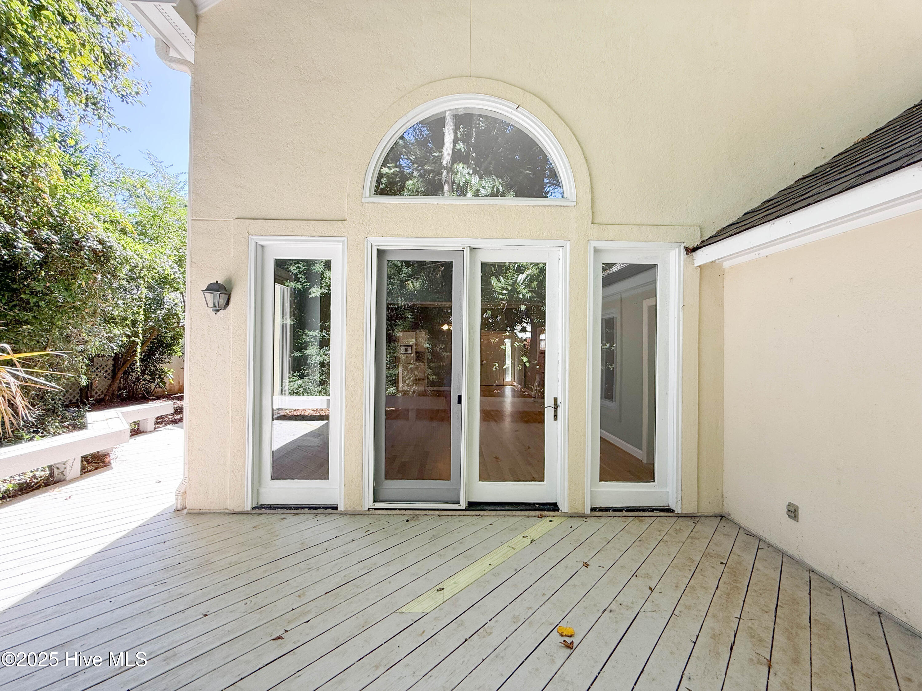 100535071 | Photo 14