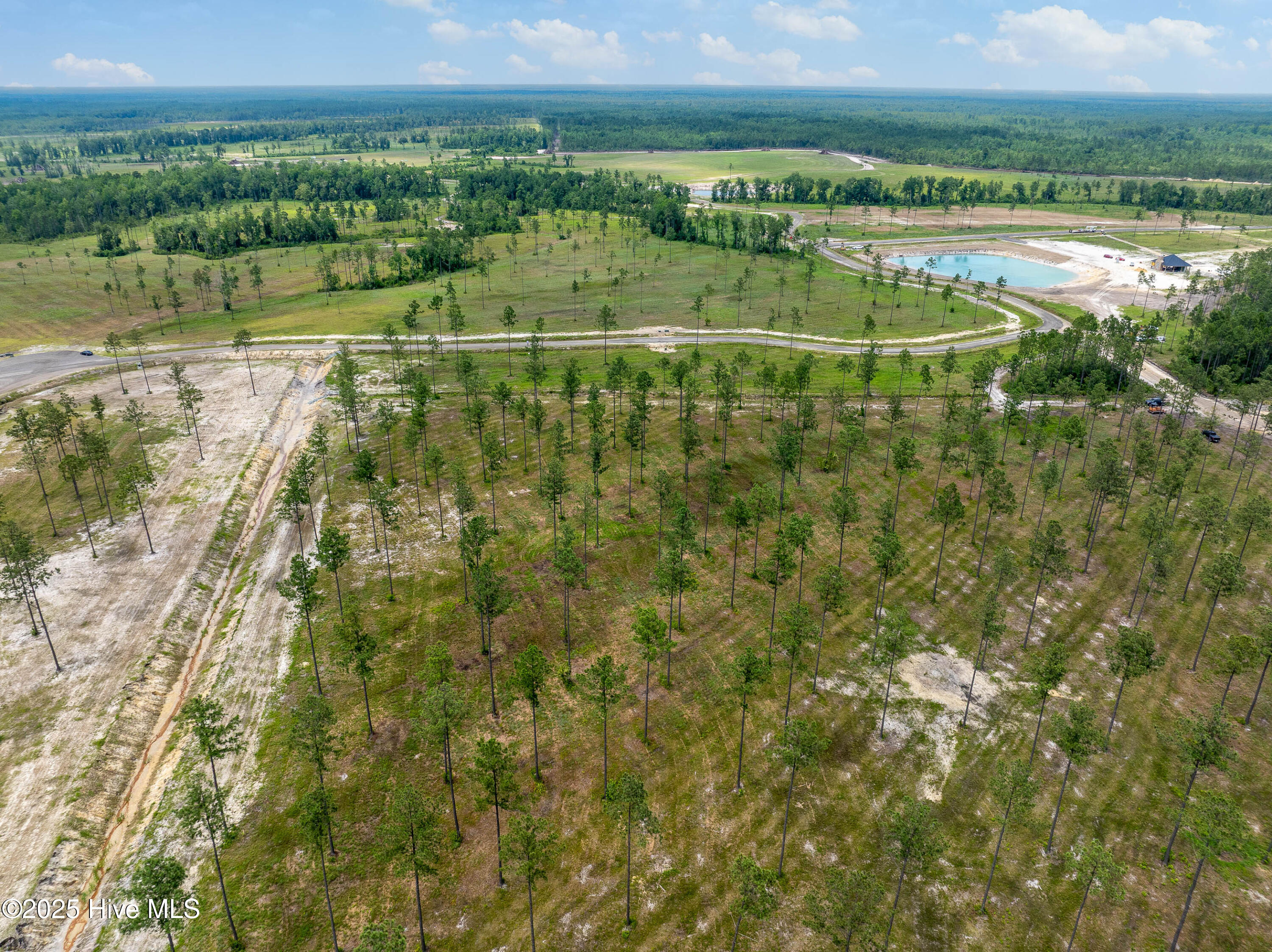 100520208 | Photo 11