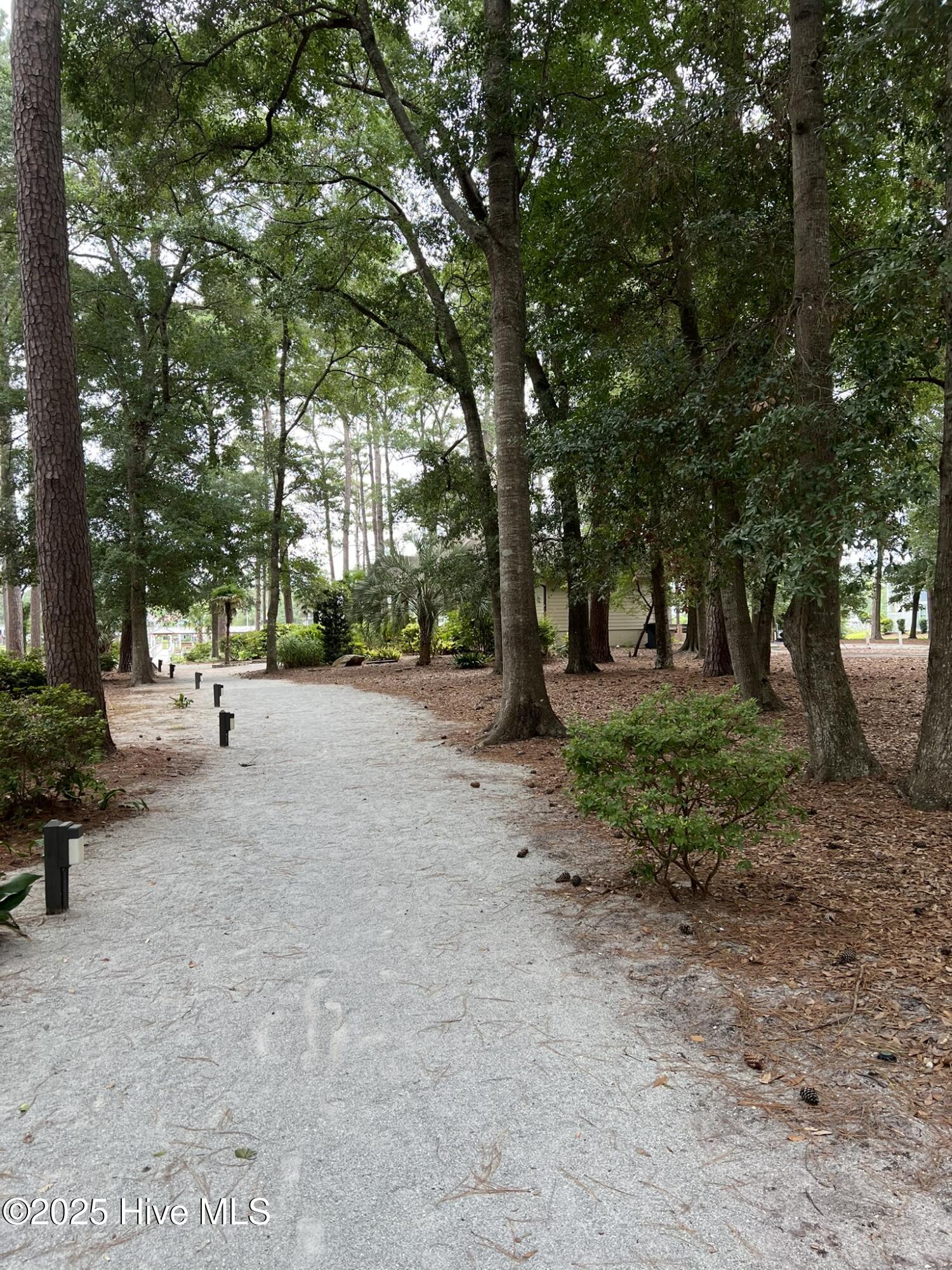 100562201 | Photo 20