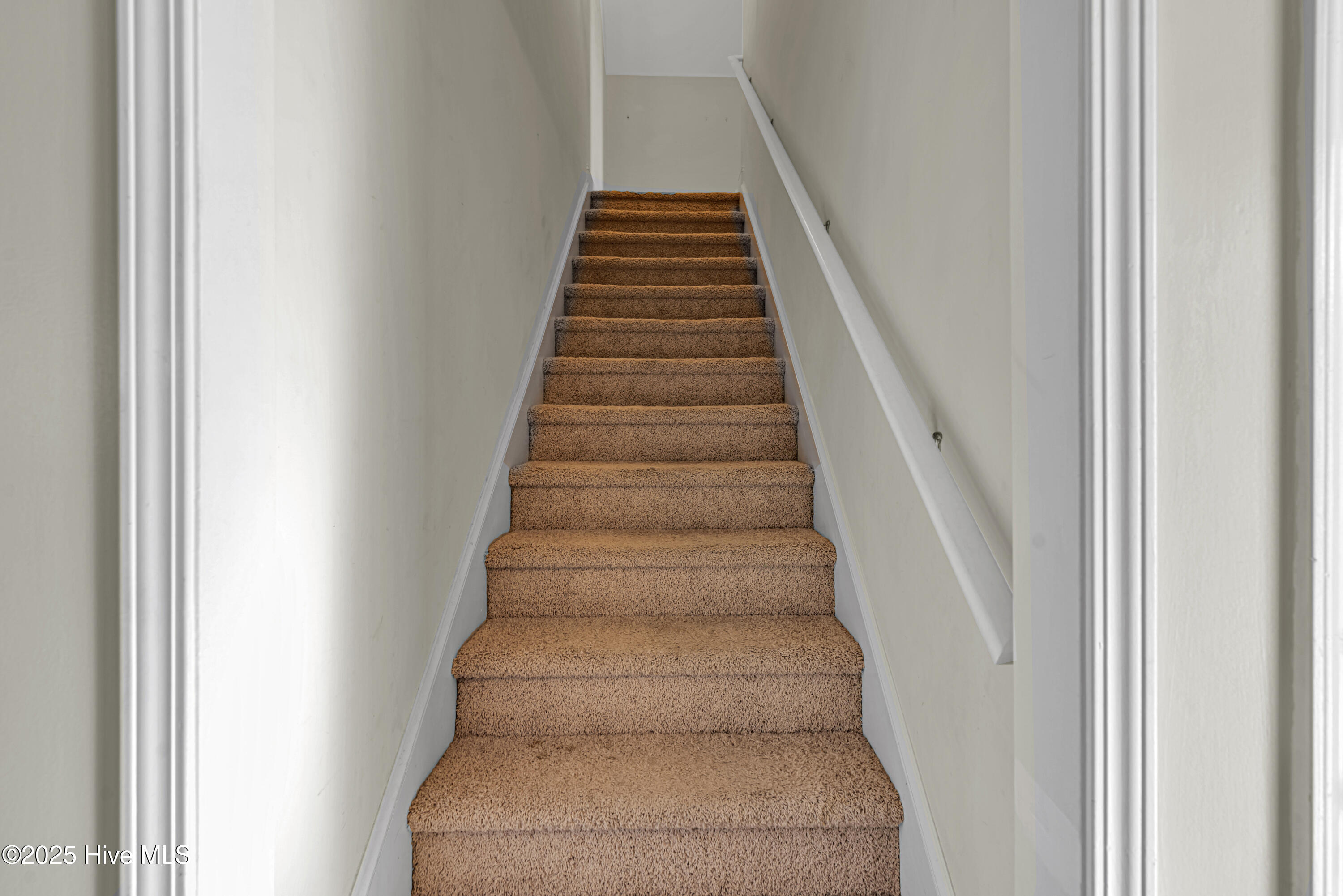 100545574 | Photo 36