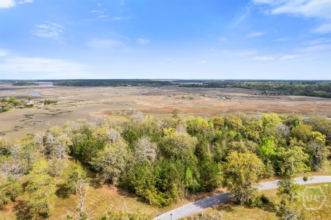 LOT 4 Bermuda Bluff Lane, Midway, GA, 31320