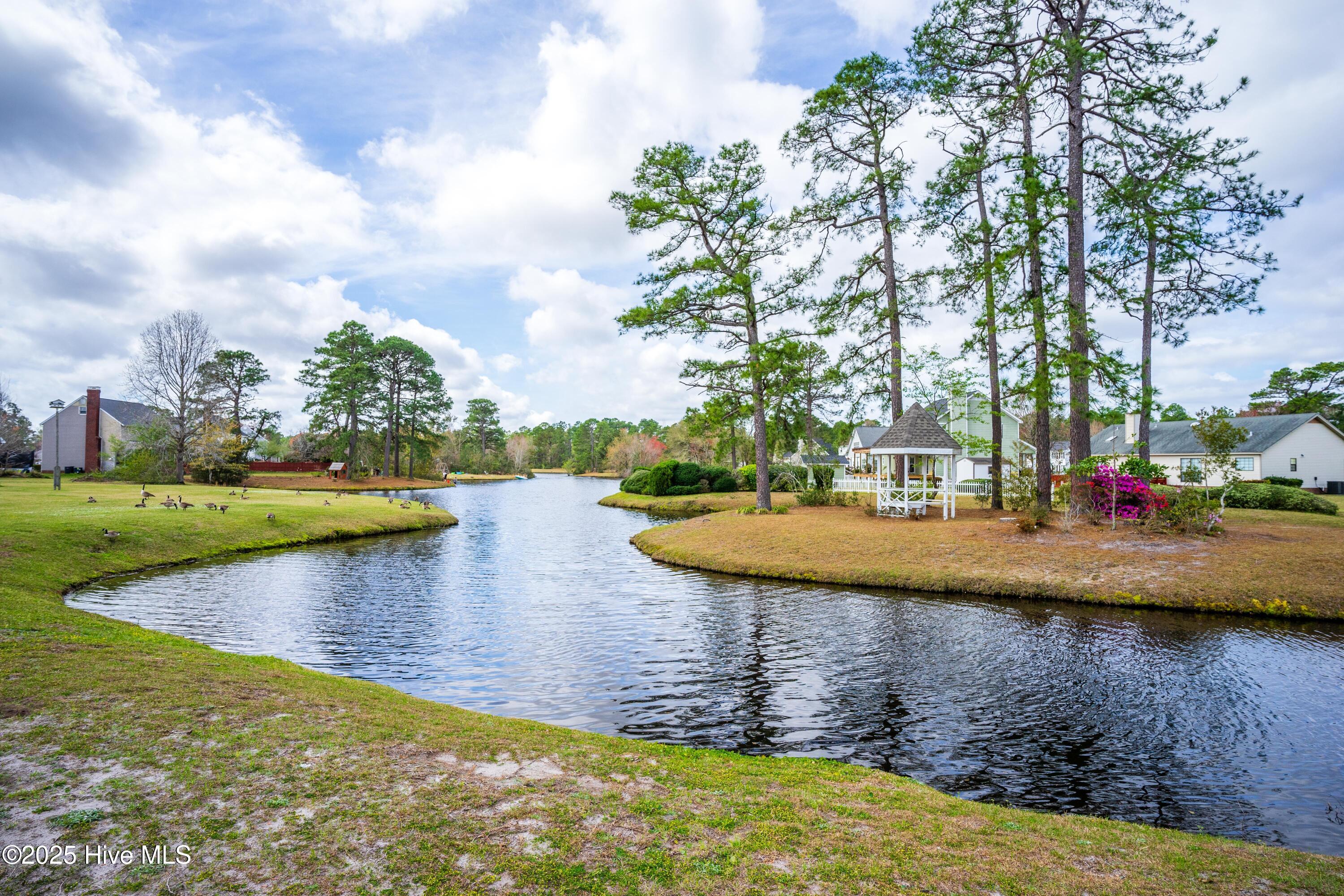 100540113 | Photo 53