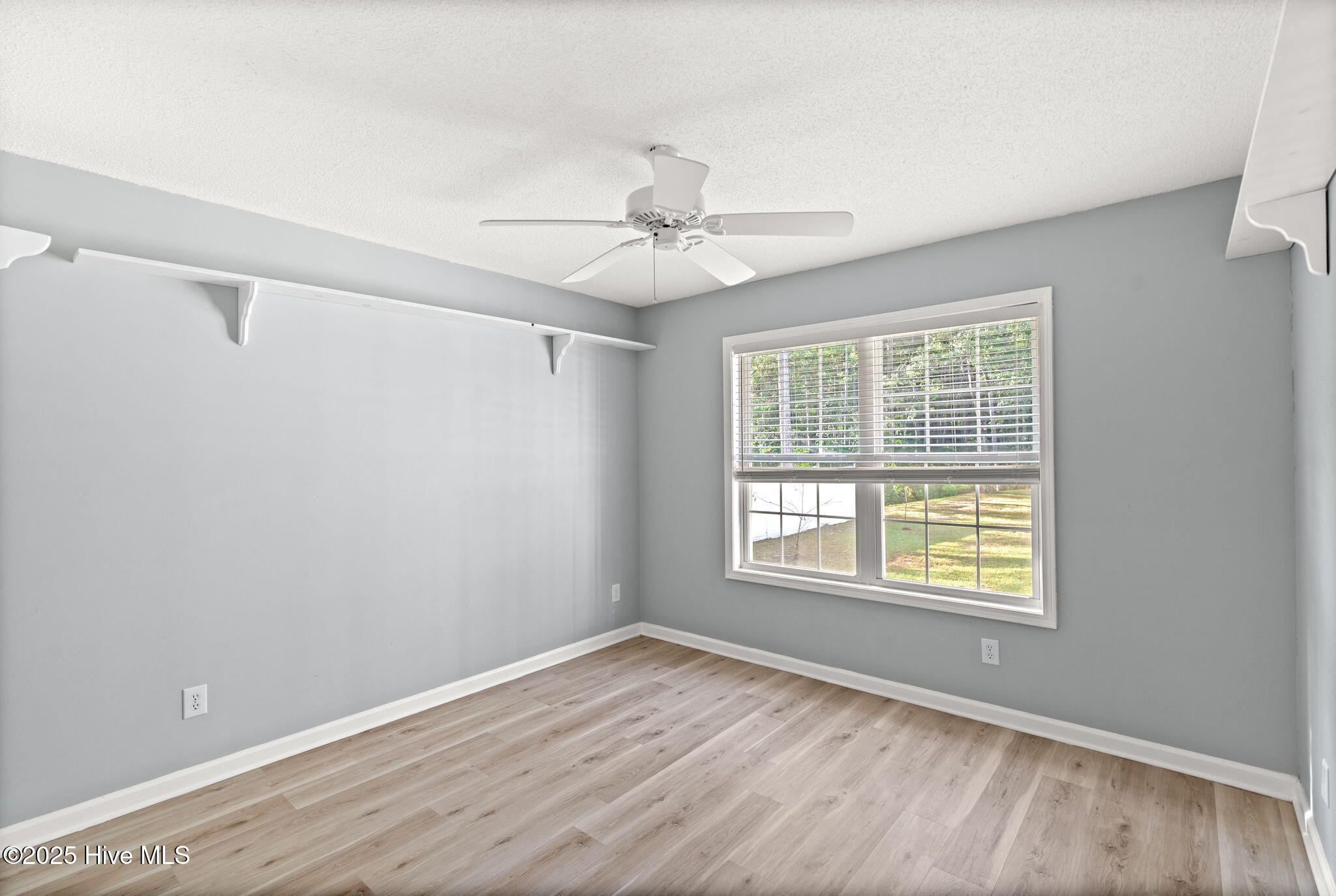 100535002 | Photo 16