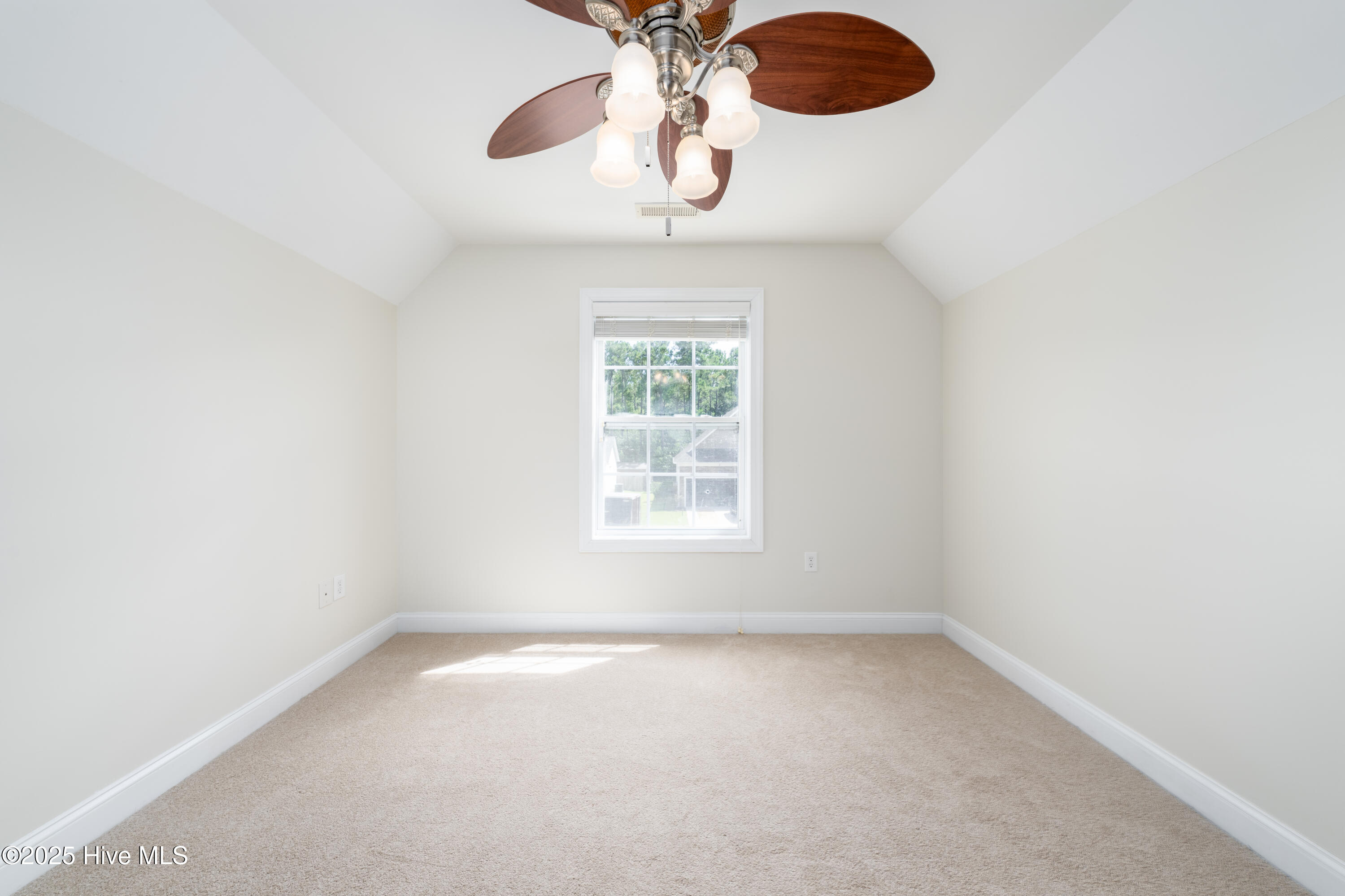 100513882 | Photo 34