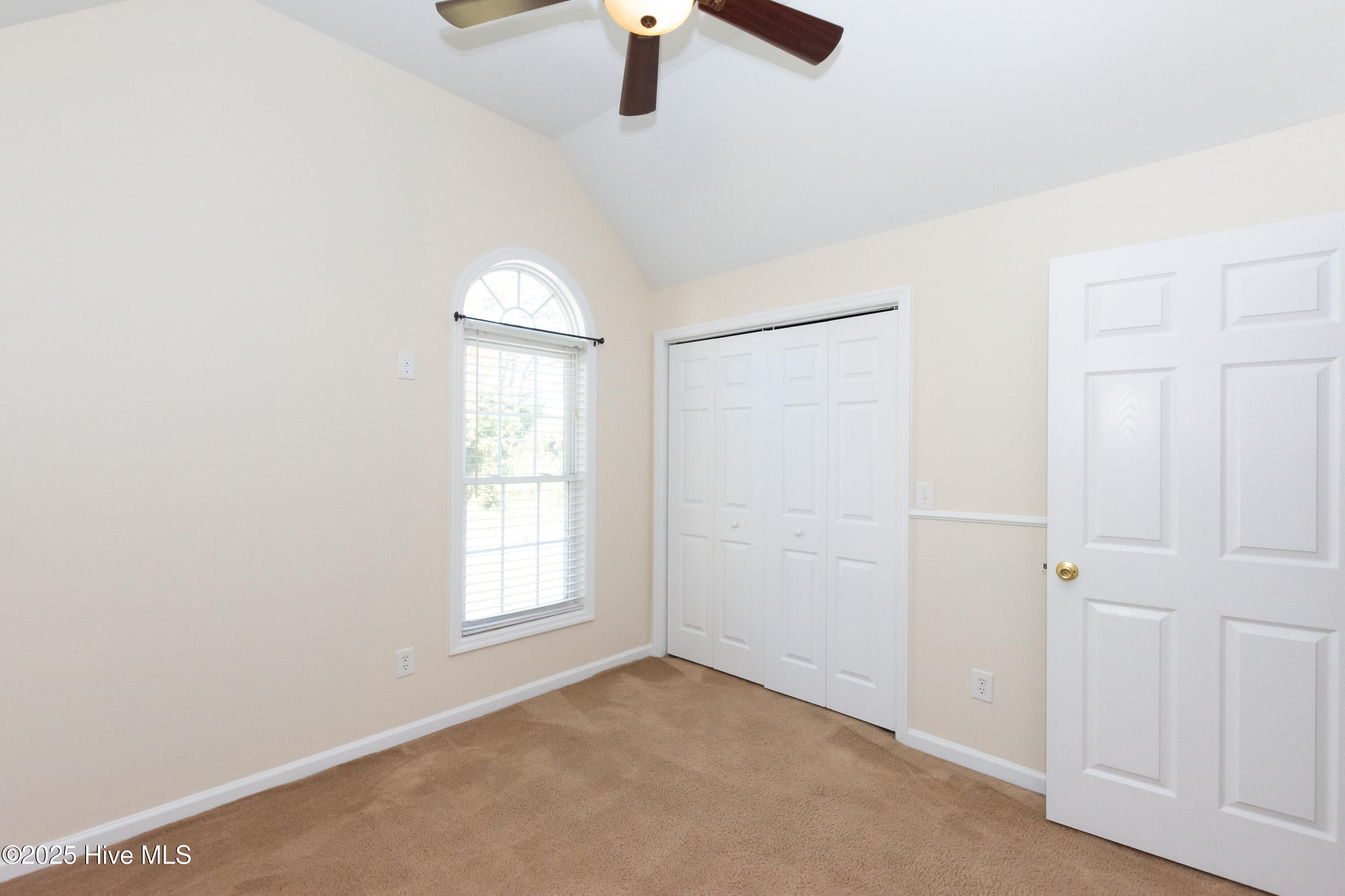 100541193 | Photo 33