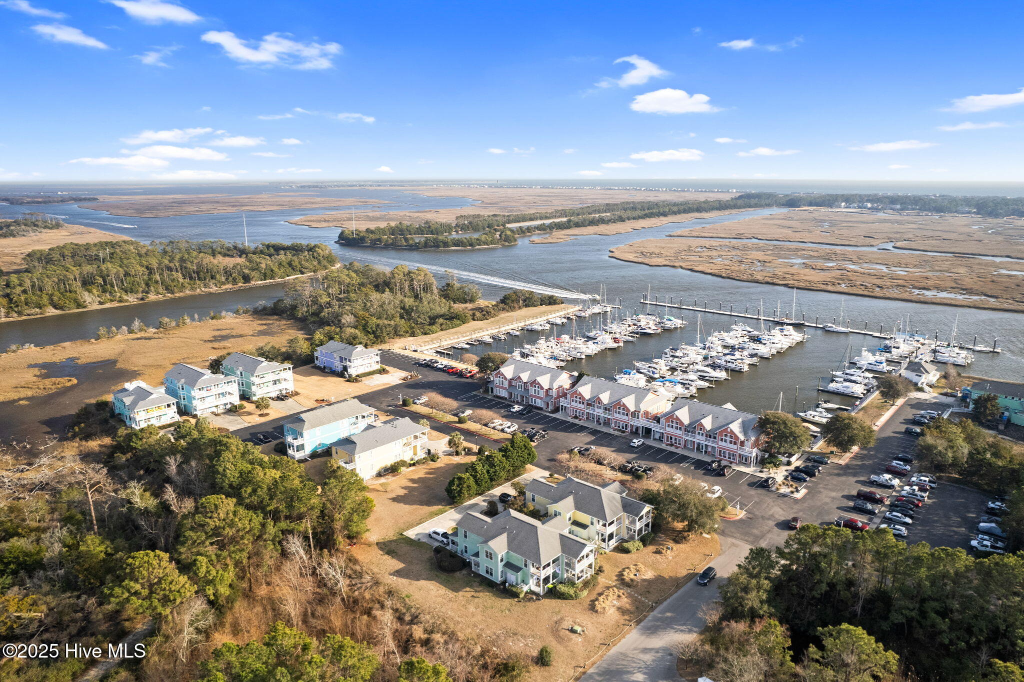 100548558 | Photo 11