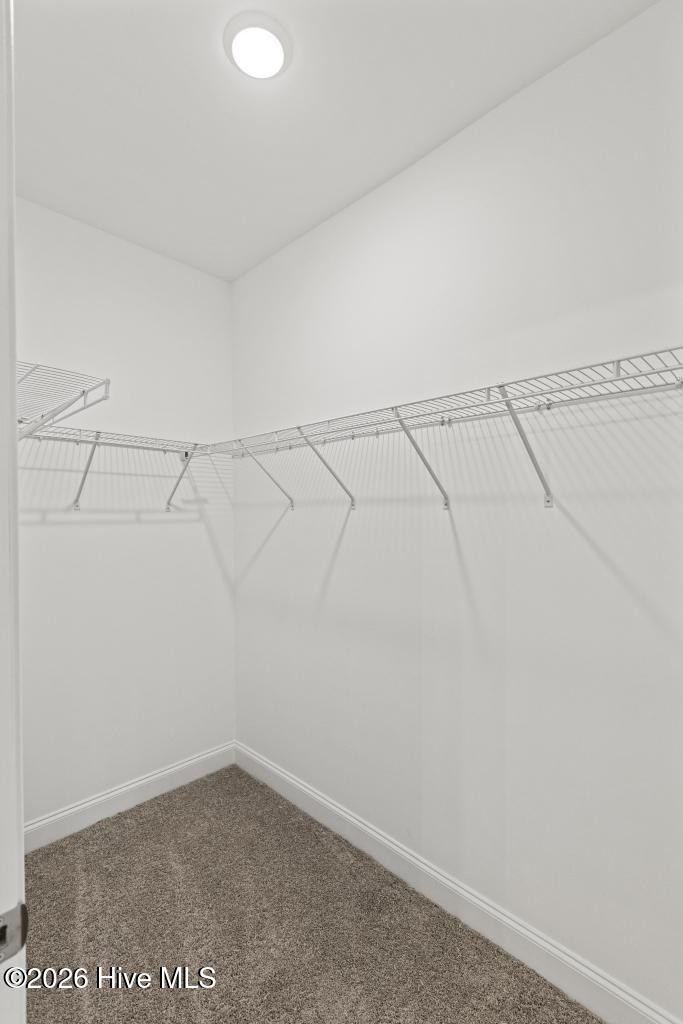 2024 Page Road, Burgaw, NC 28425 – photo 19: 425A8144
