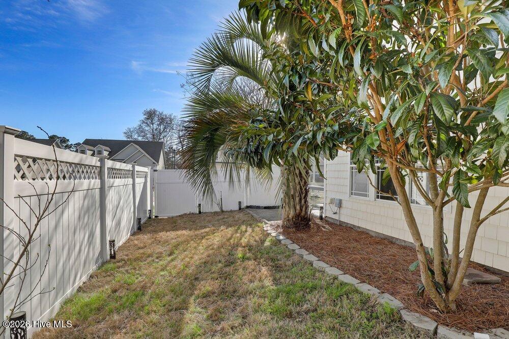 100561625 | Photo 25