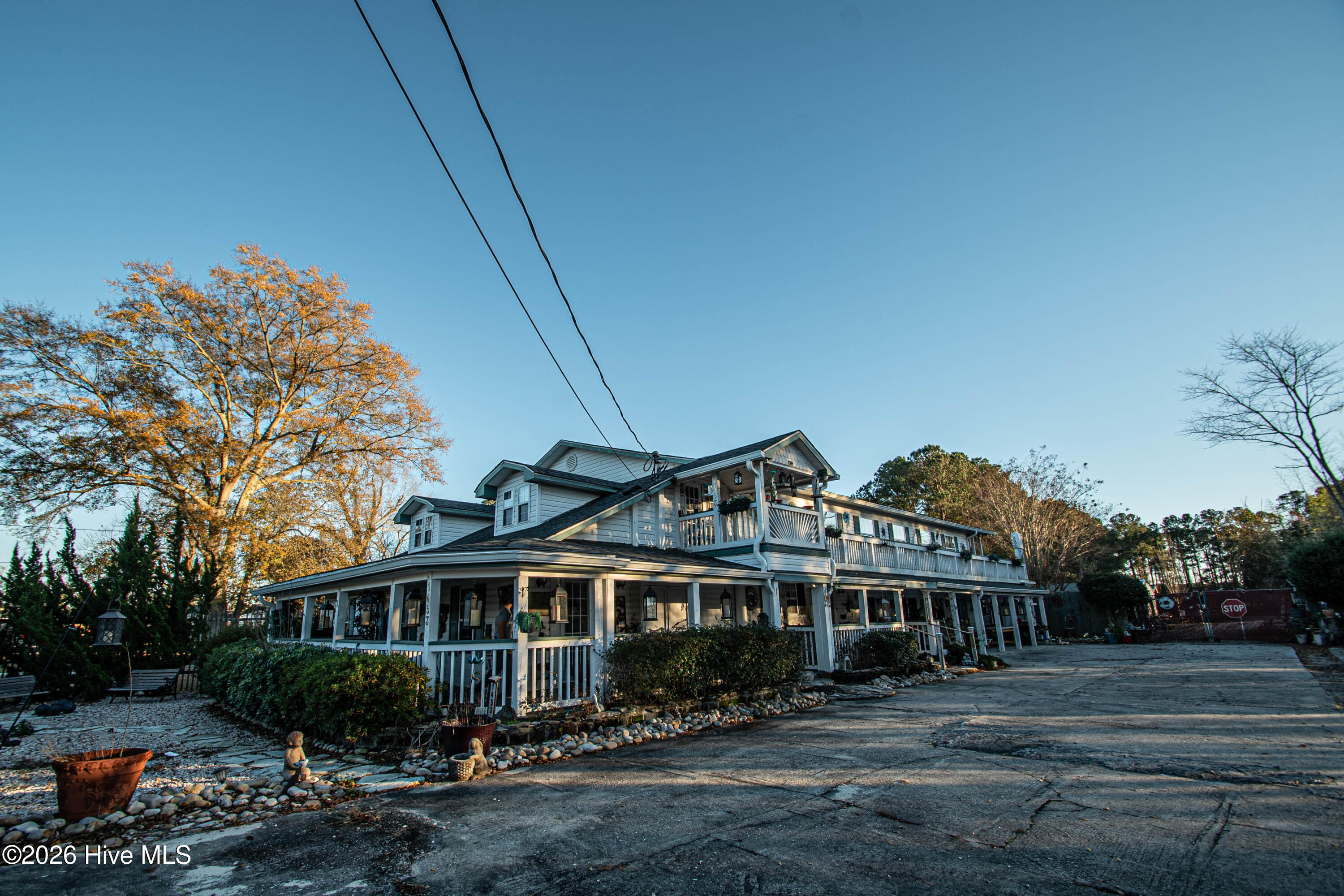 100554642 | Photo 13