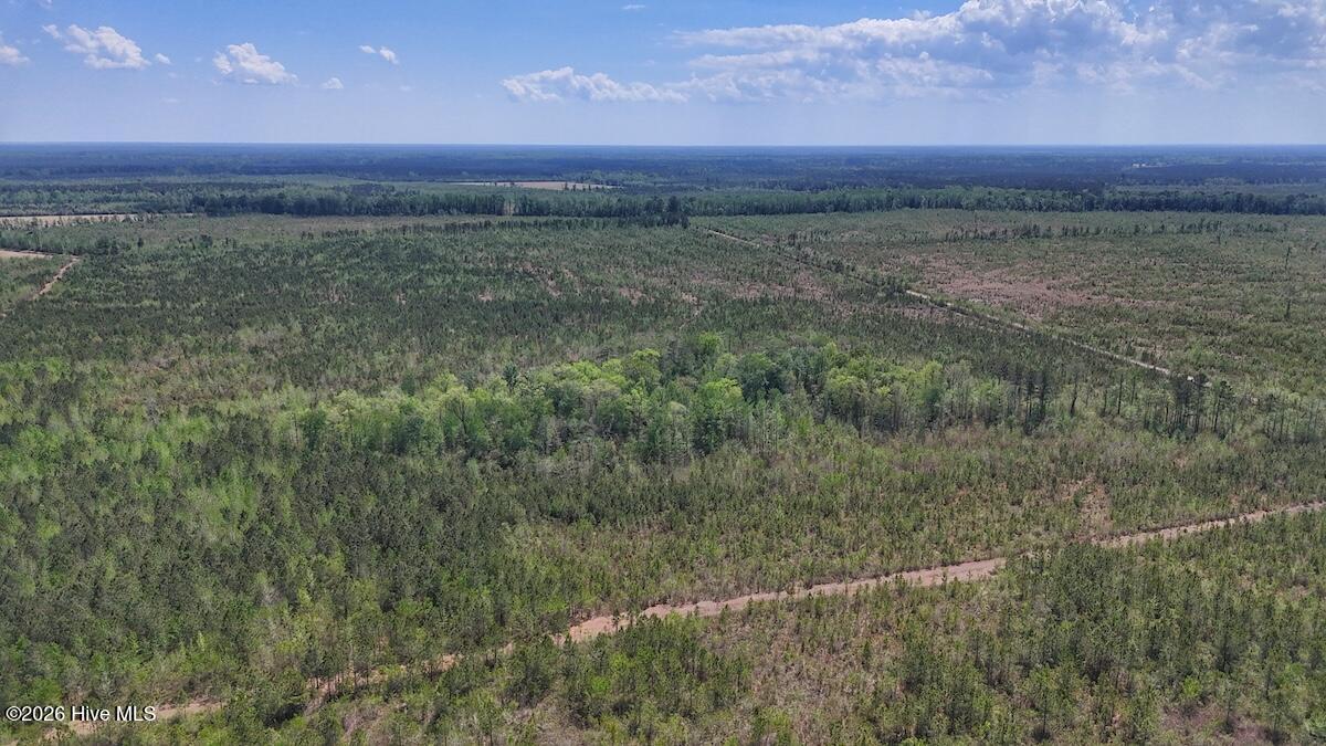 0 Guinea Mill Road, Ernul, NC, 28527