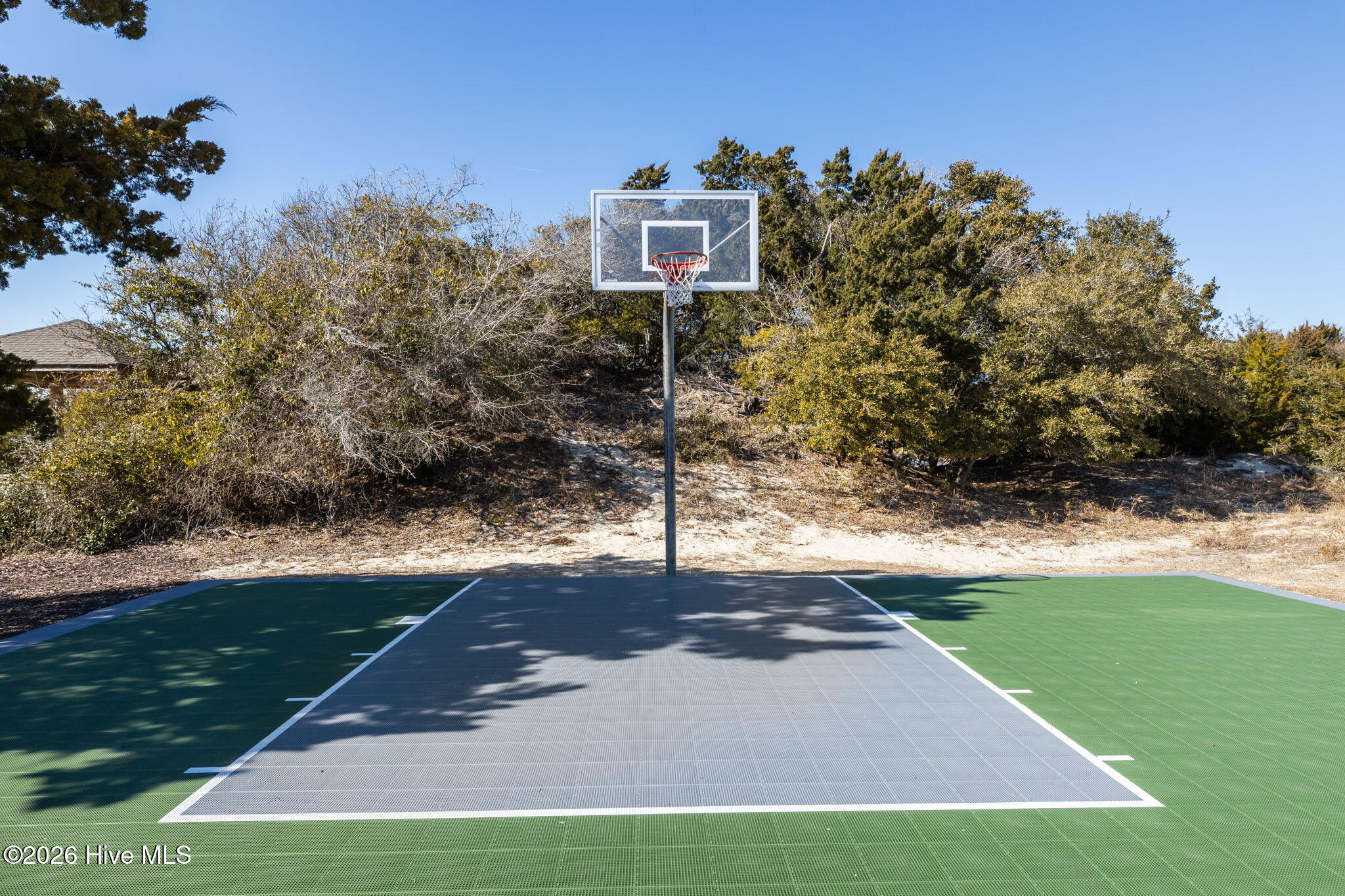 100551765 | Photo 55