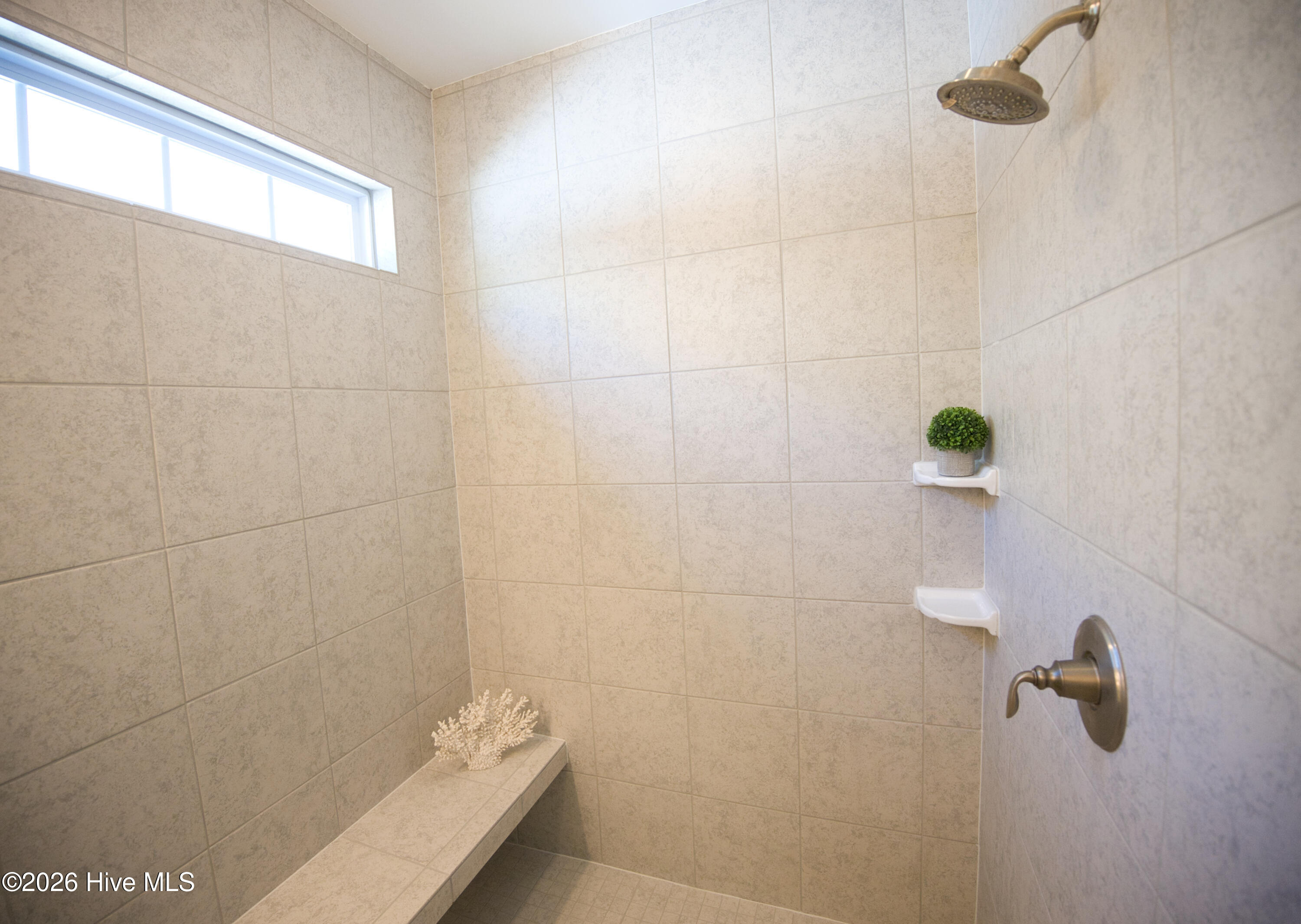 100567363 | Photo 30