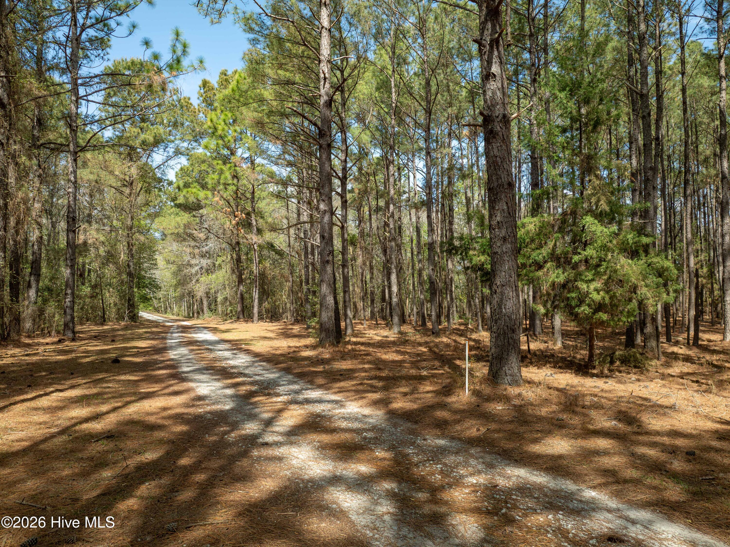 100564032 | Photo 30