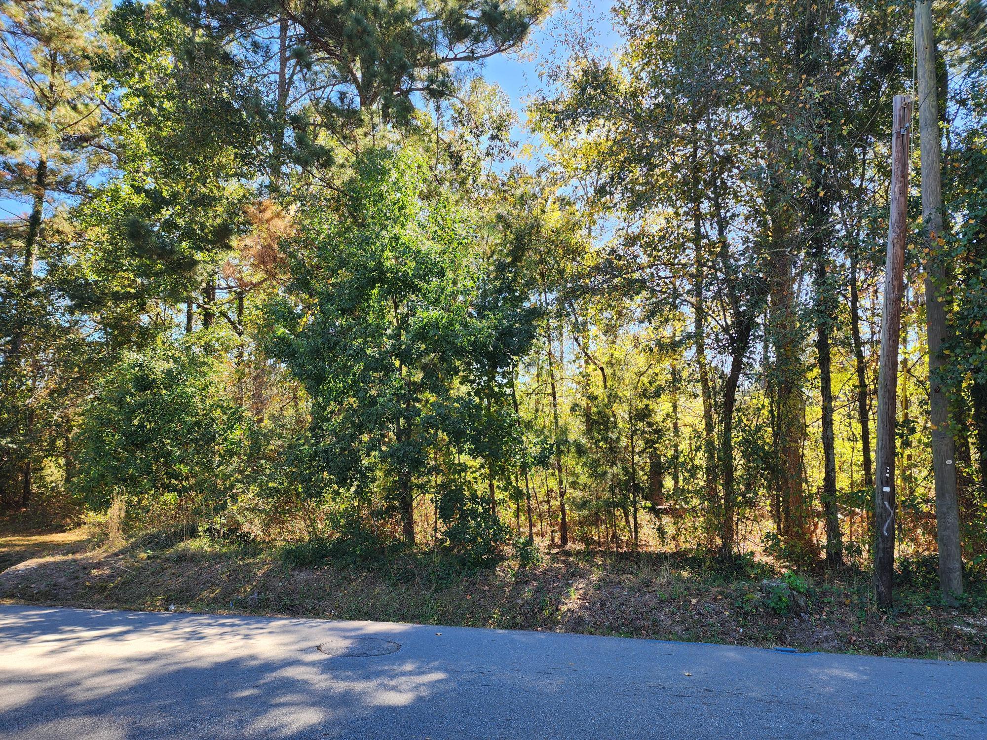 Homes for sale in Wrens, GA | 0 Howard St, Wrens, GA 30833 | MLS# 548508