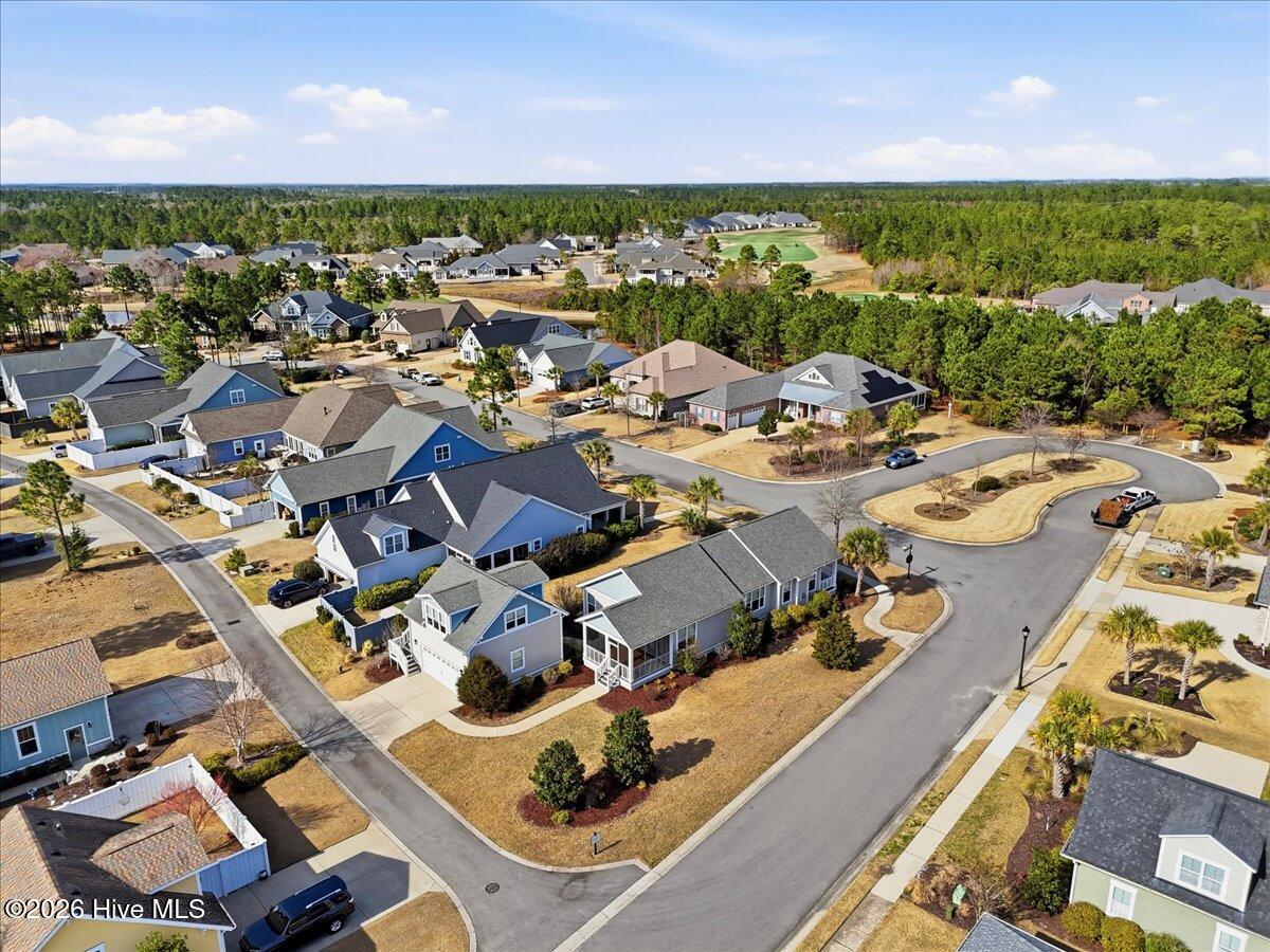 100558839 | Photo 83