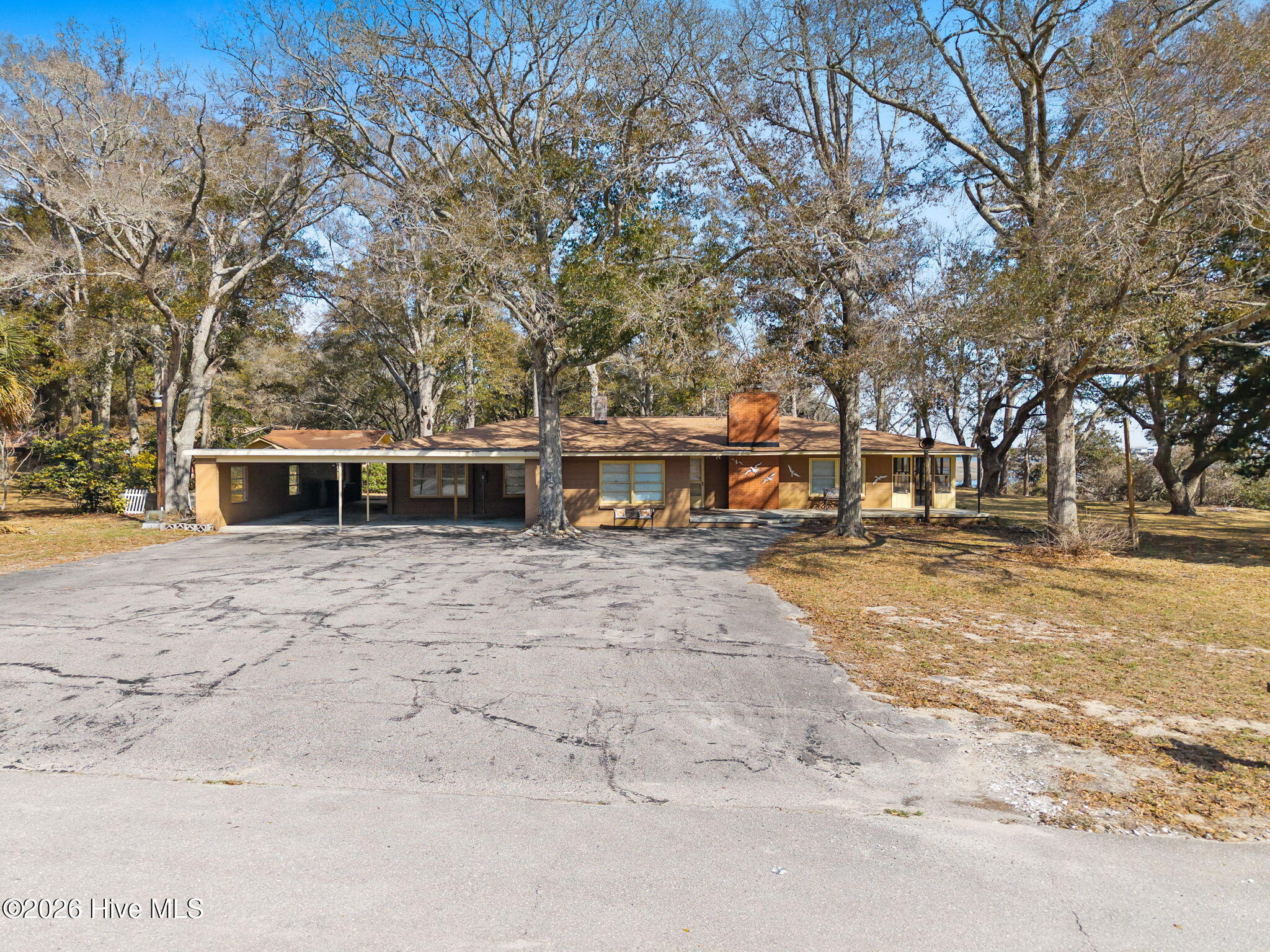 100561810 | Photo 11