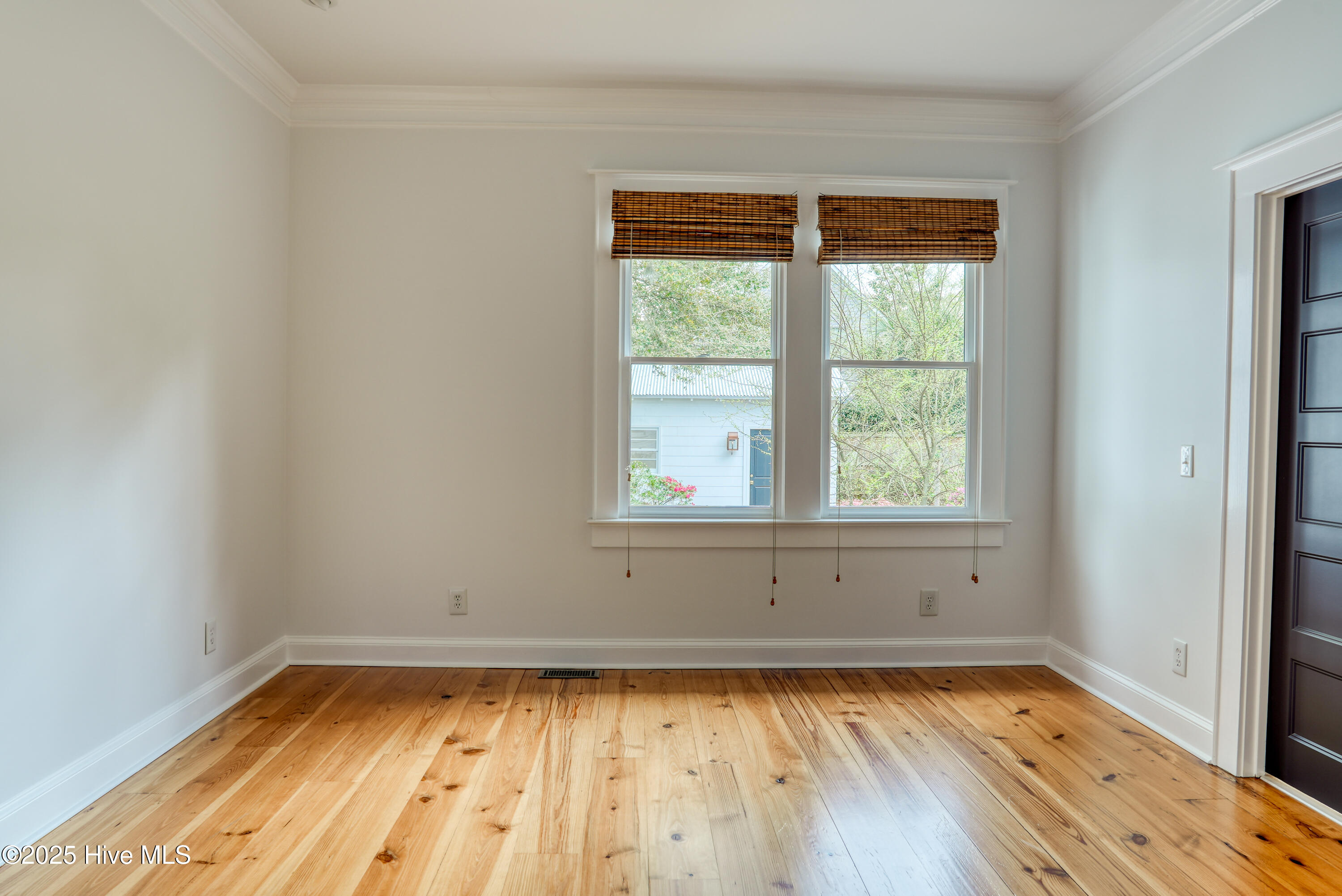 100559496 | Photo 37