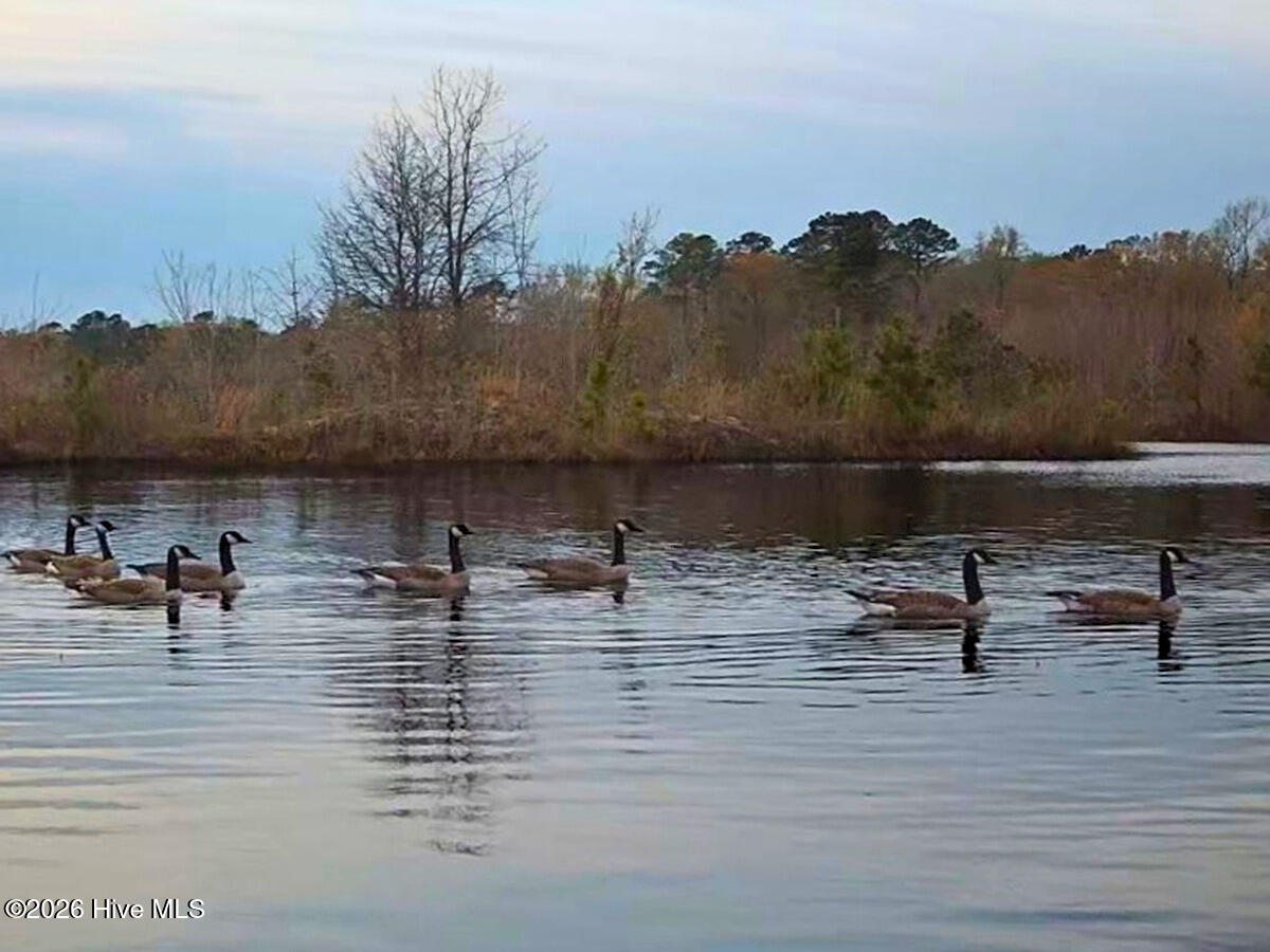 0 Durwood Evans Road, Beulaville, NC, 28518